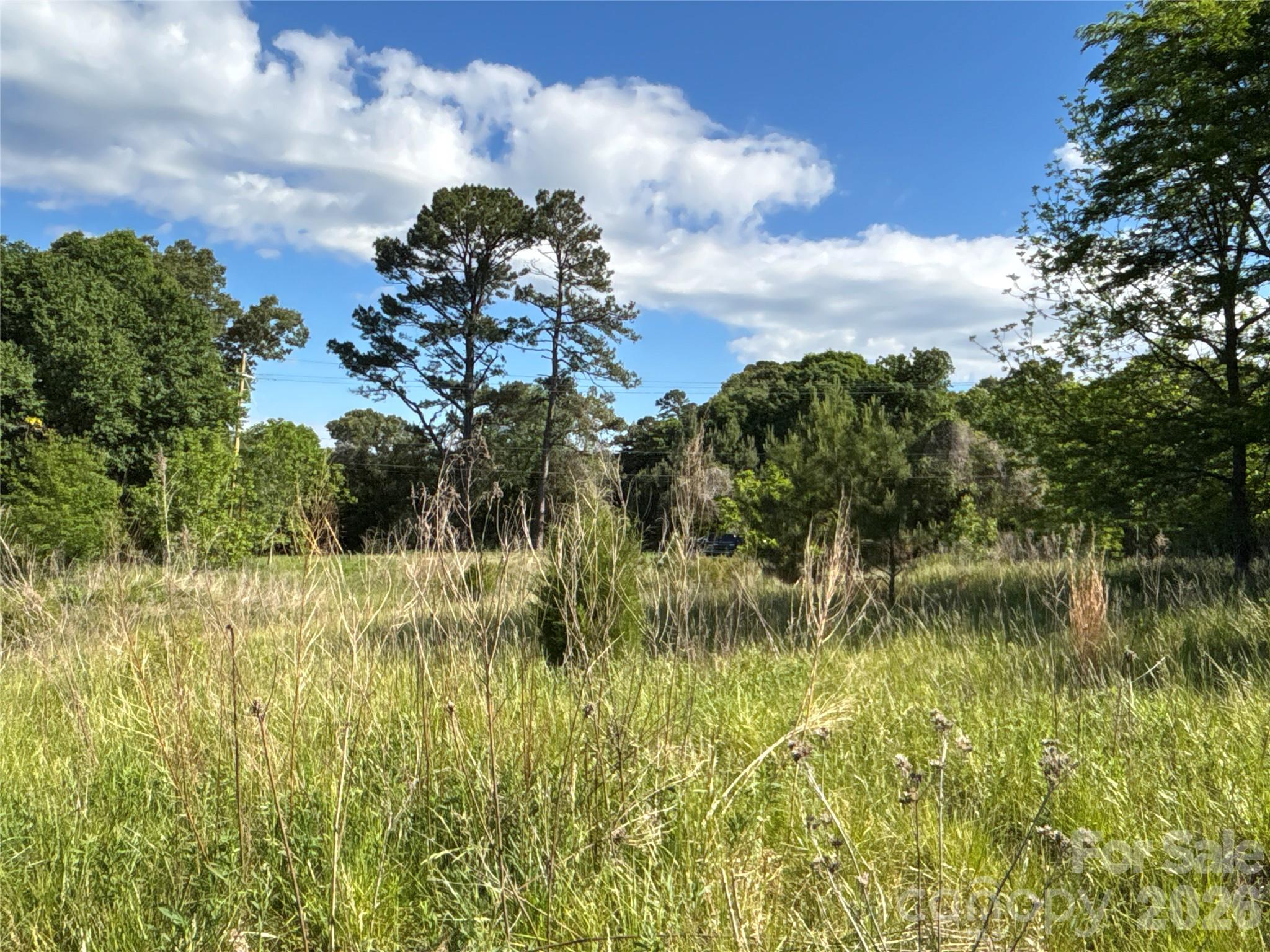 Open Area - 670 Talley Street, Troutman