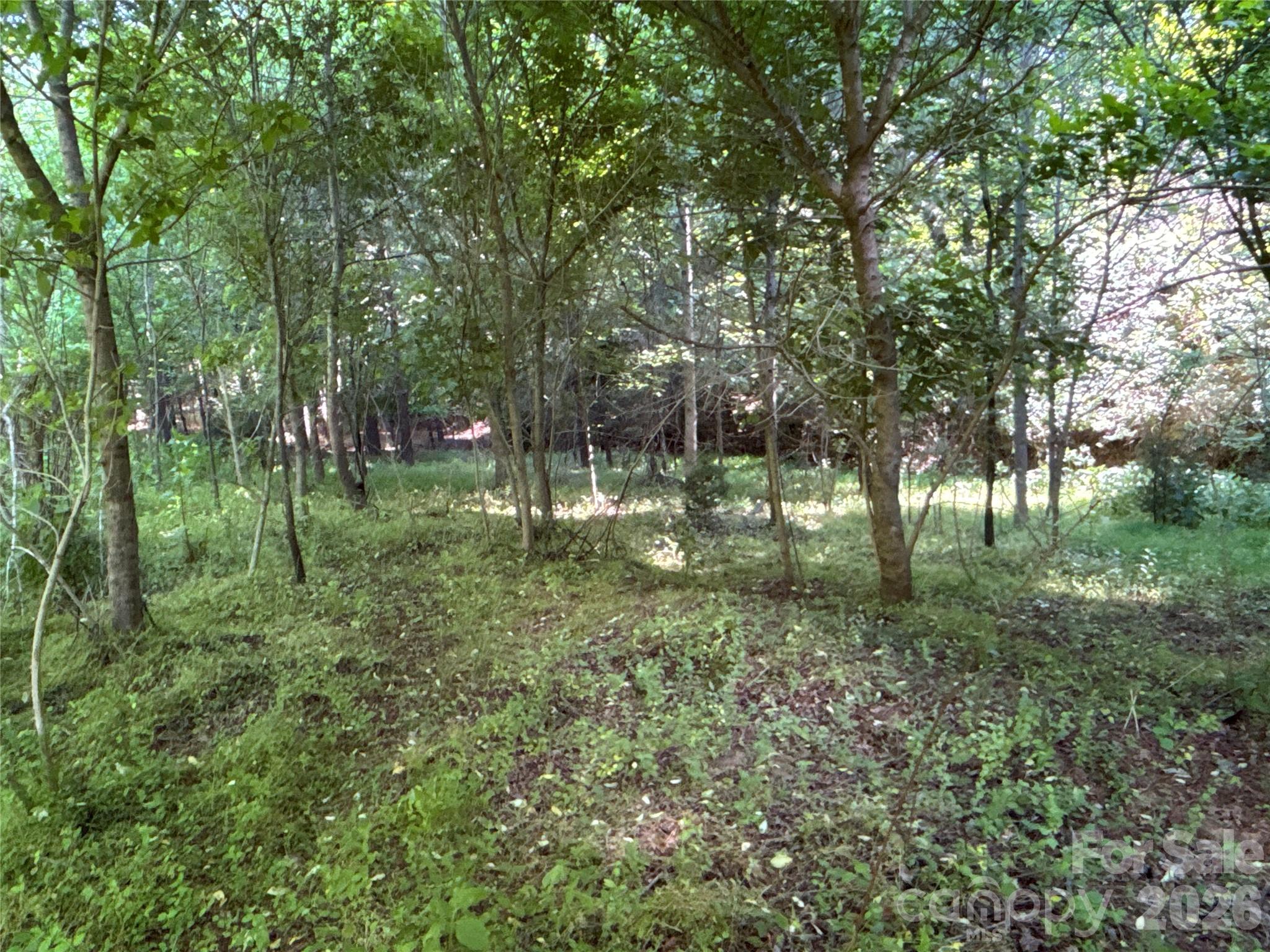 Acreage at 670 Talley Street, Troutman, photo 25 of 26