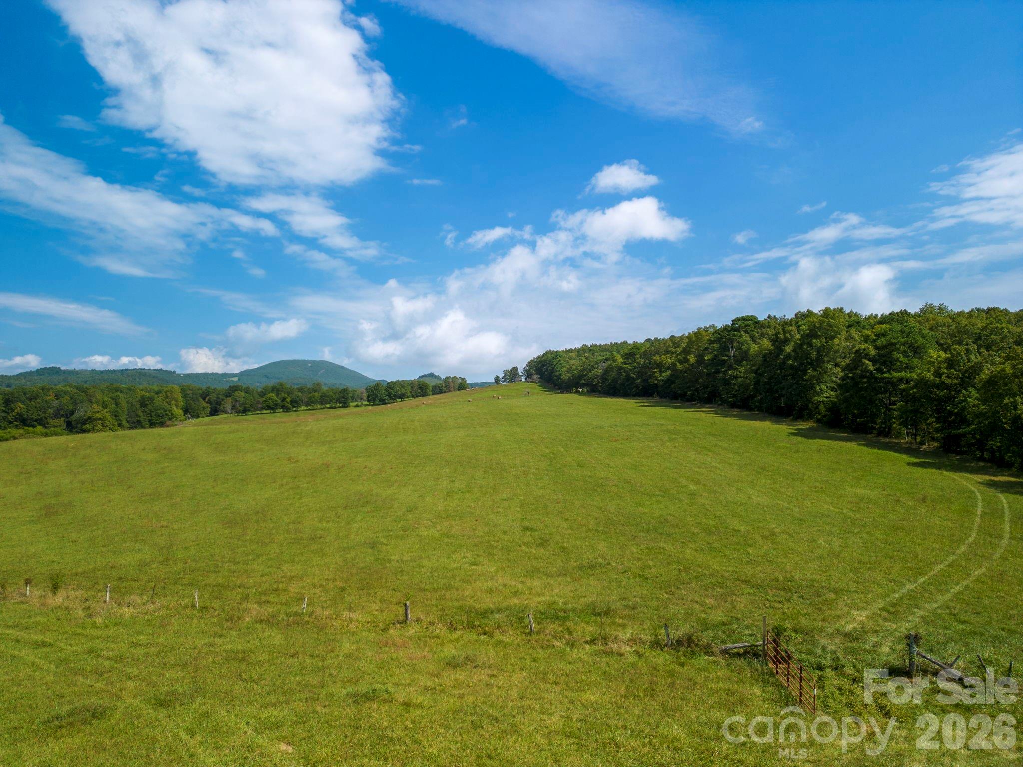 Acreage at TBD Summer Road, Hendersonville, photo 3 of 34