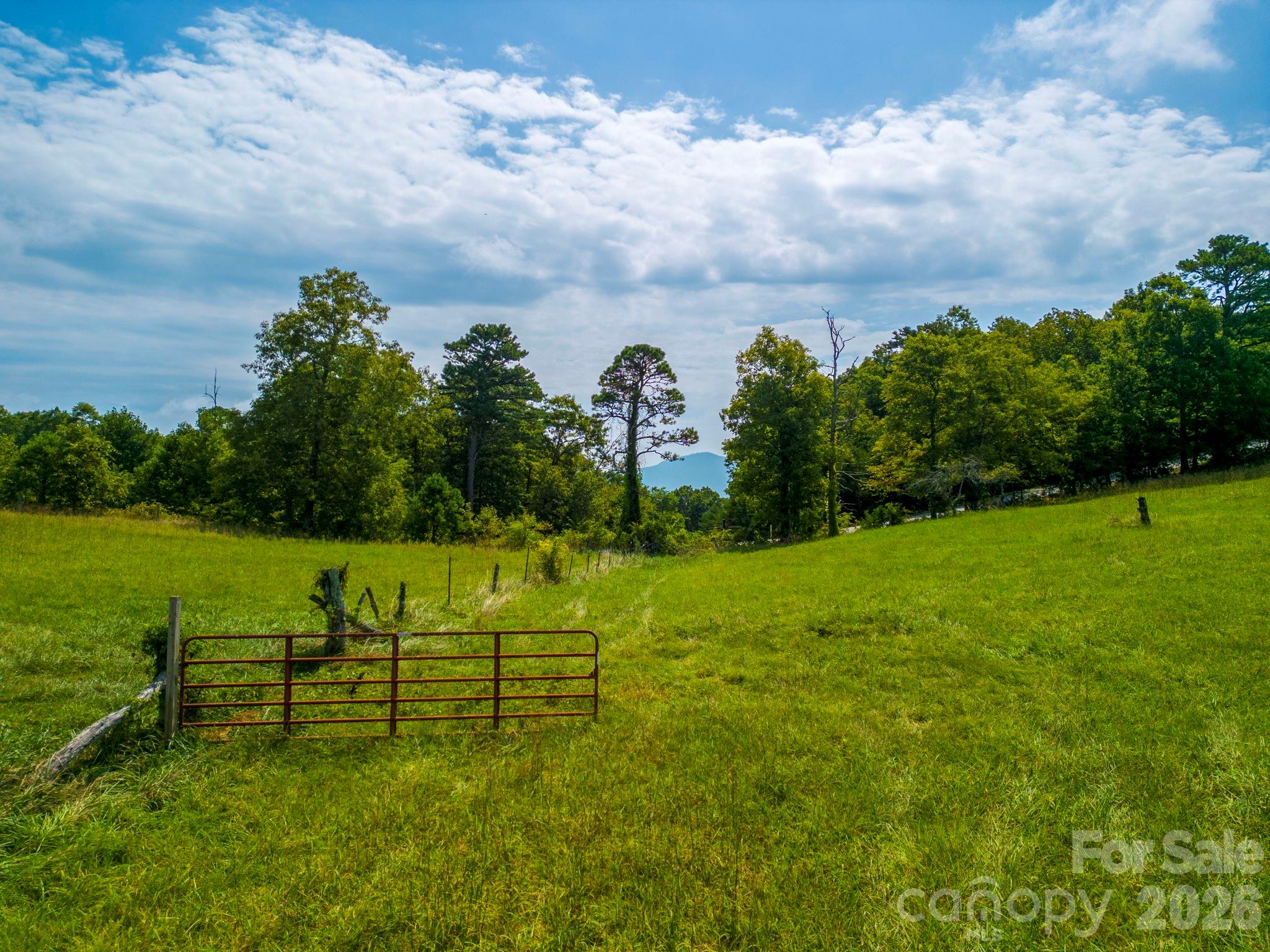 Acreage at TBD Summer Road, Hendersonville, photo 4 of 34