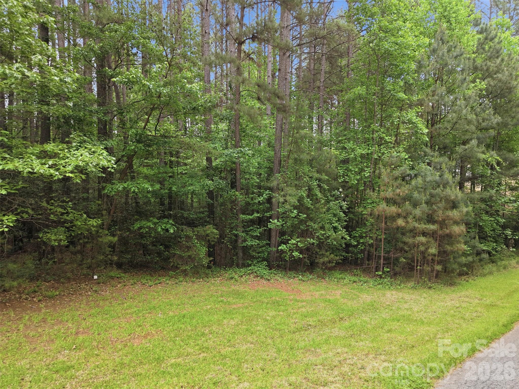 Standing on the parcel — ready for your custom build - 6020 Plantation Pointe Drive, Granite Falls