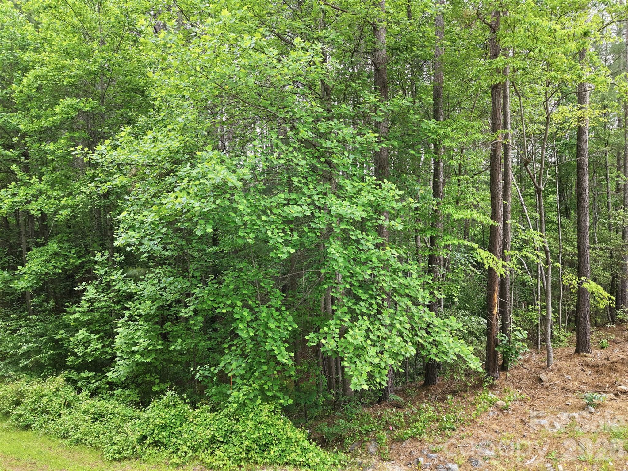 Heavily wooded & natural — lot is not cleared - 6020 Plantation Pointe Drive, Granite Falls