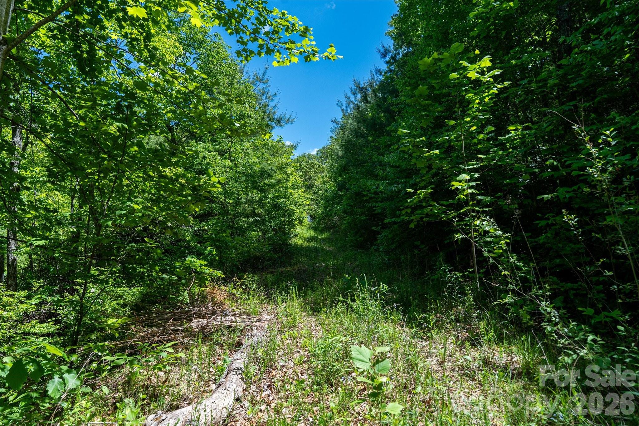 Acreage at 99999 Winding Ridge Road, Fairview, photo 11 of 15