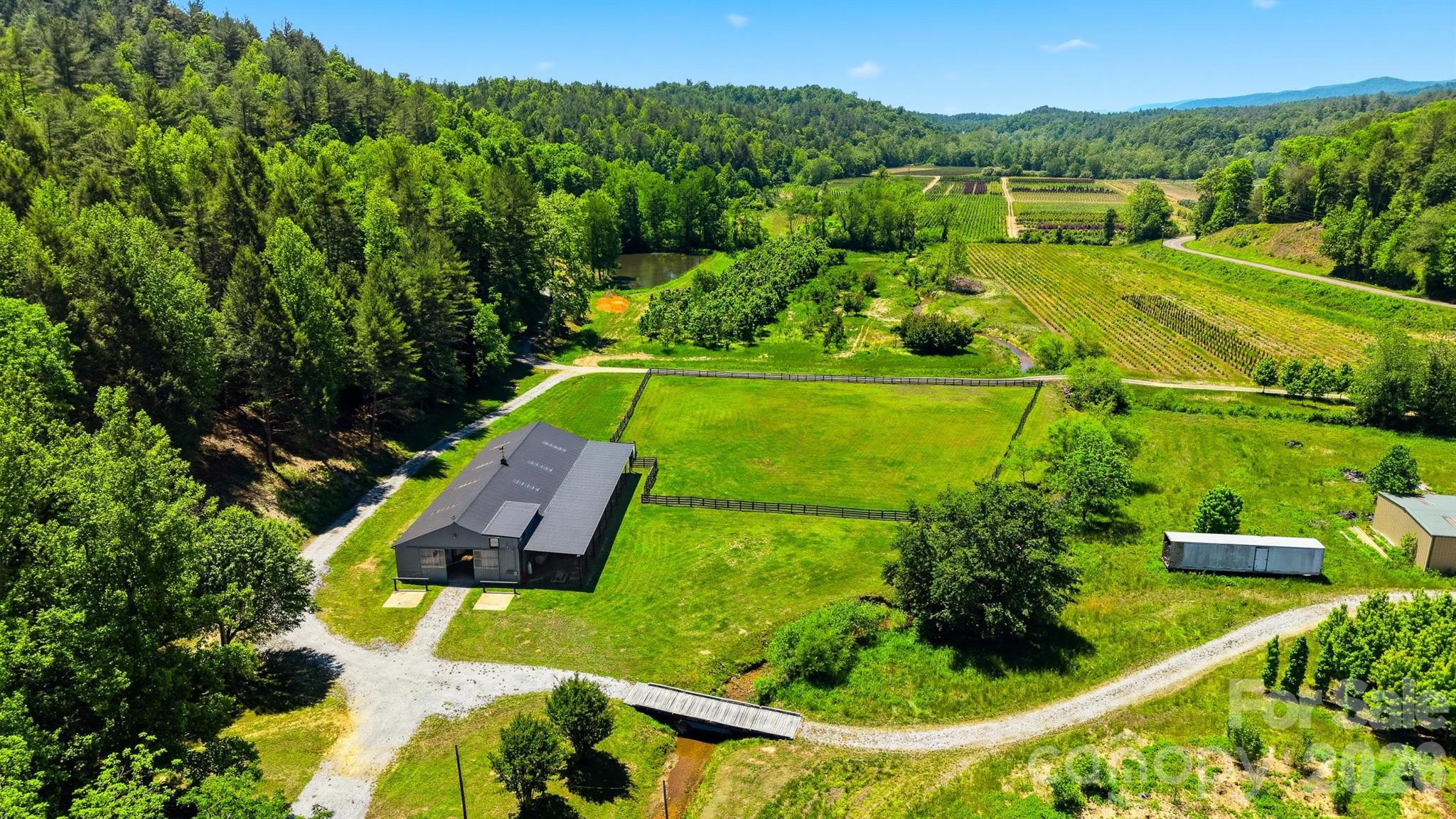 Acreage at 81 +/- Acres 2967 Roby Martin Road, Lenoir, photo 4 of 37
