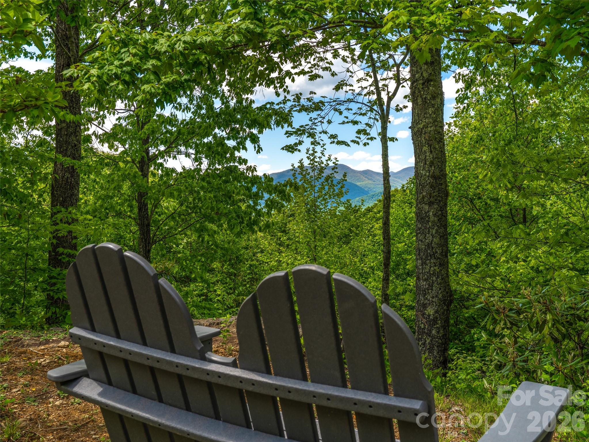 Community clubhouse , playground and walking trails - 9 Crockett Ridge Road, Black Mountain