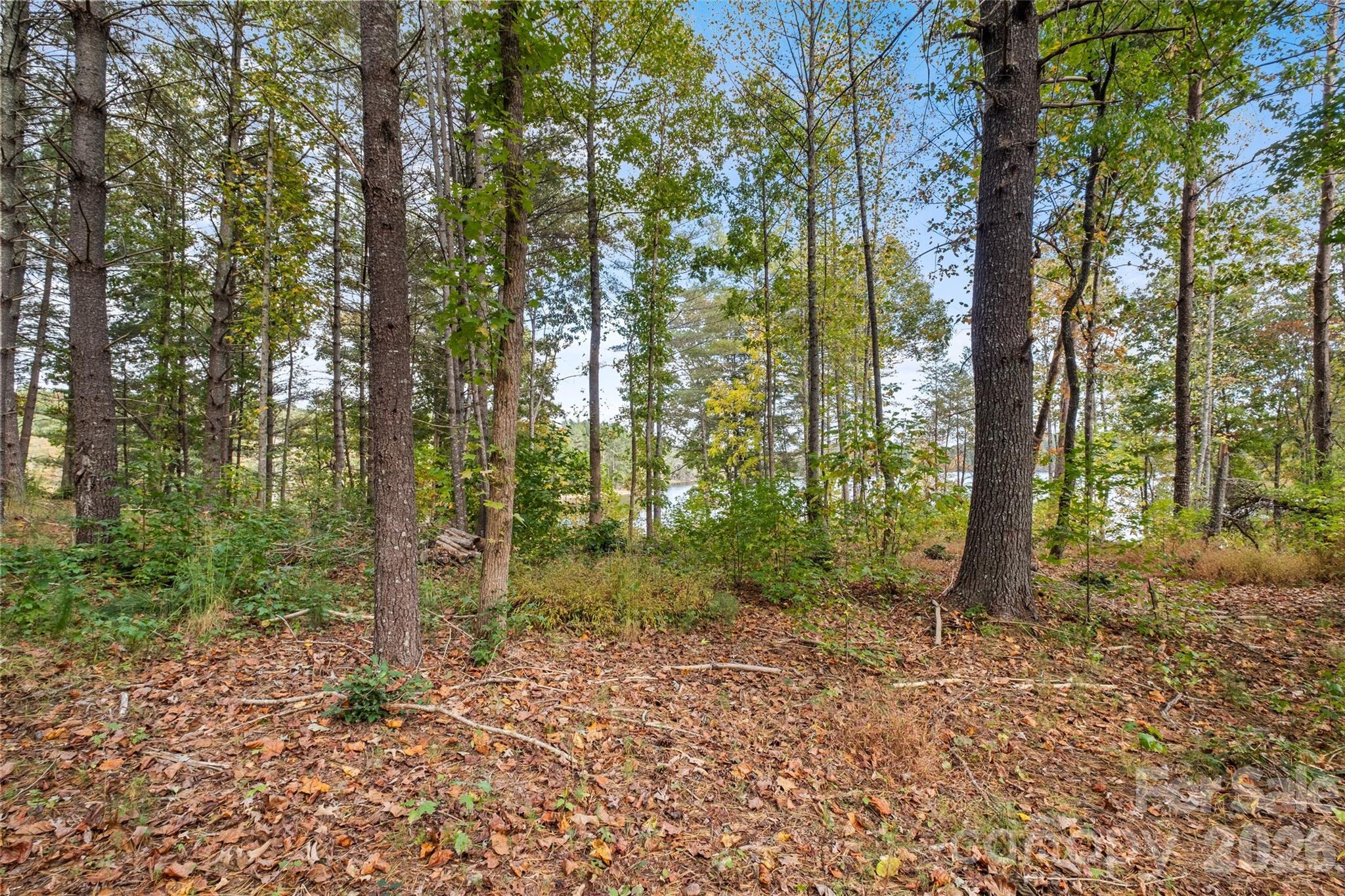 Lot at 00 Scenic Lane, Granite Falls, photo 6 of 19
