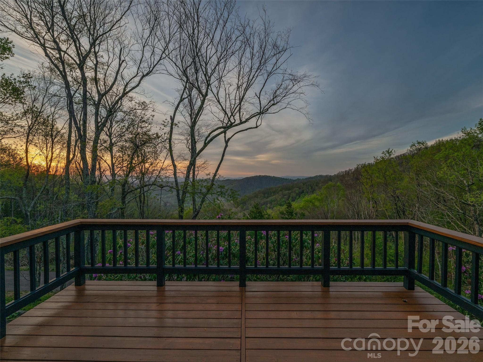 A serene setting to take in a Beaverdam valley sunset. - 100 Big Spring Drive, Asheville