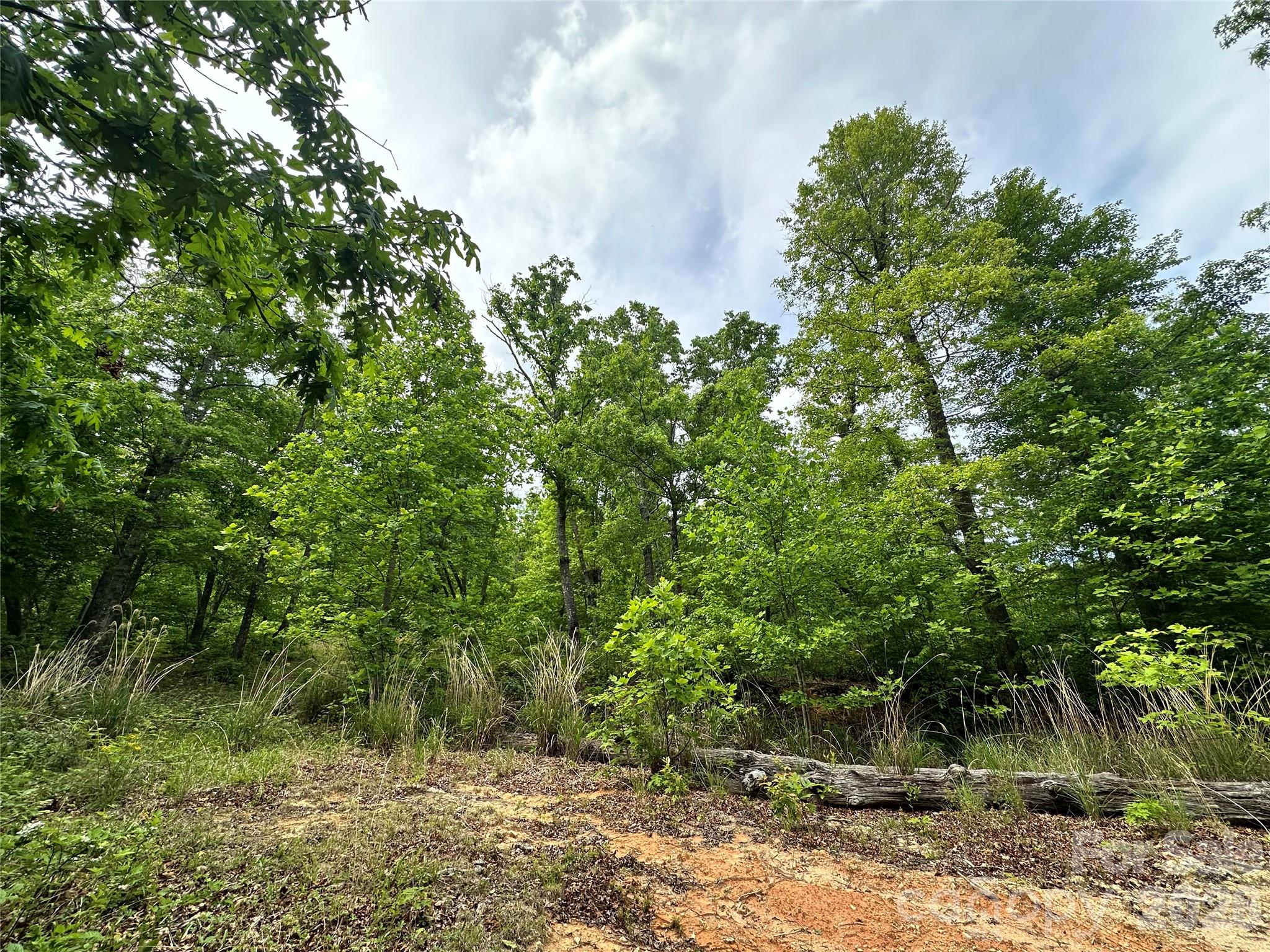 View of buildable ridge - 99999 Bird Creek Estates Road, Black Mountain