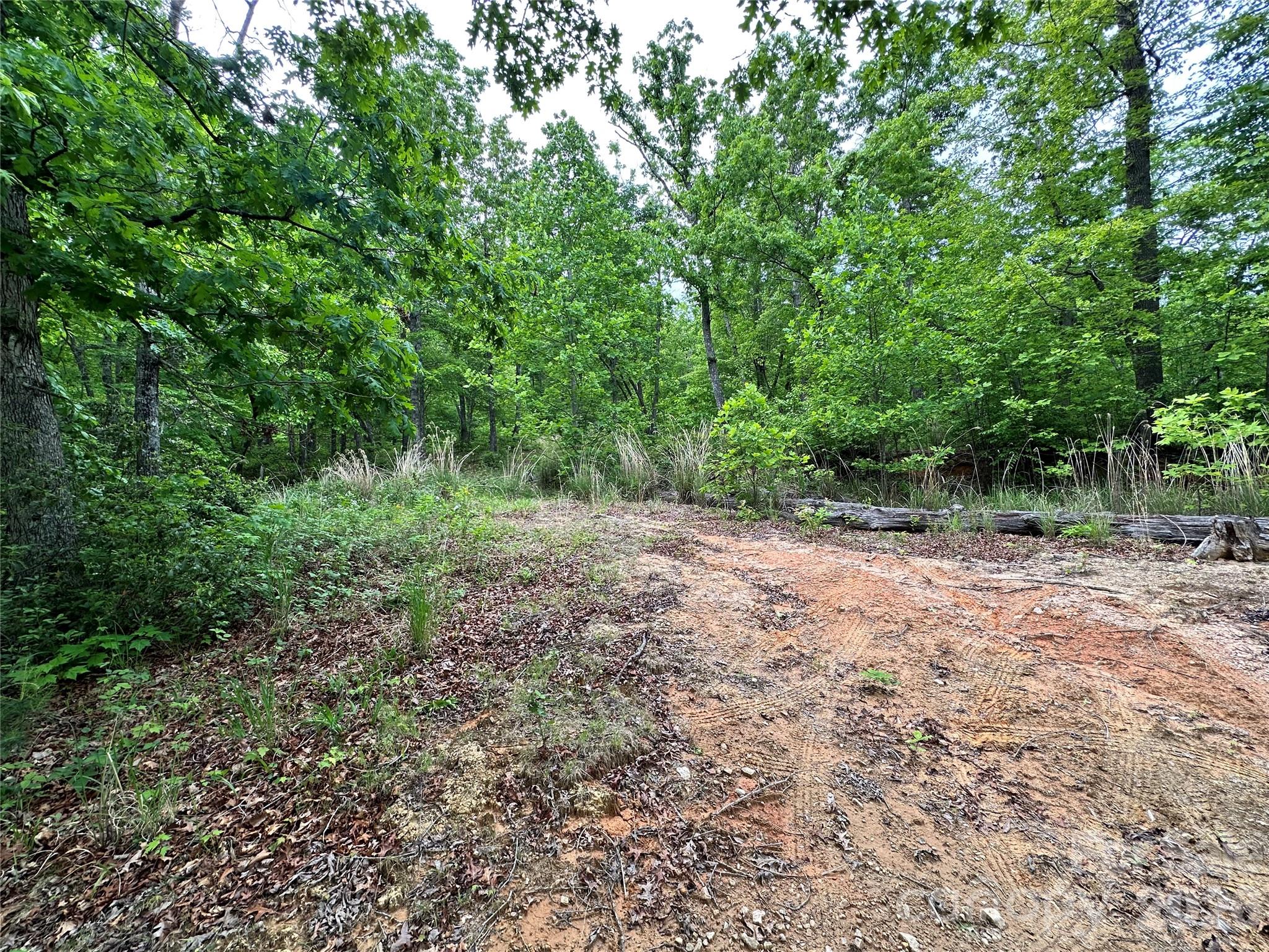 View of buildable ridge - 99999 Bird Creek Estates Road, Black Mountain