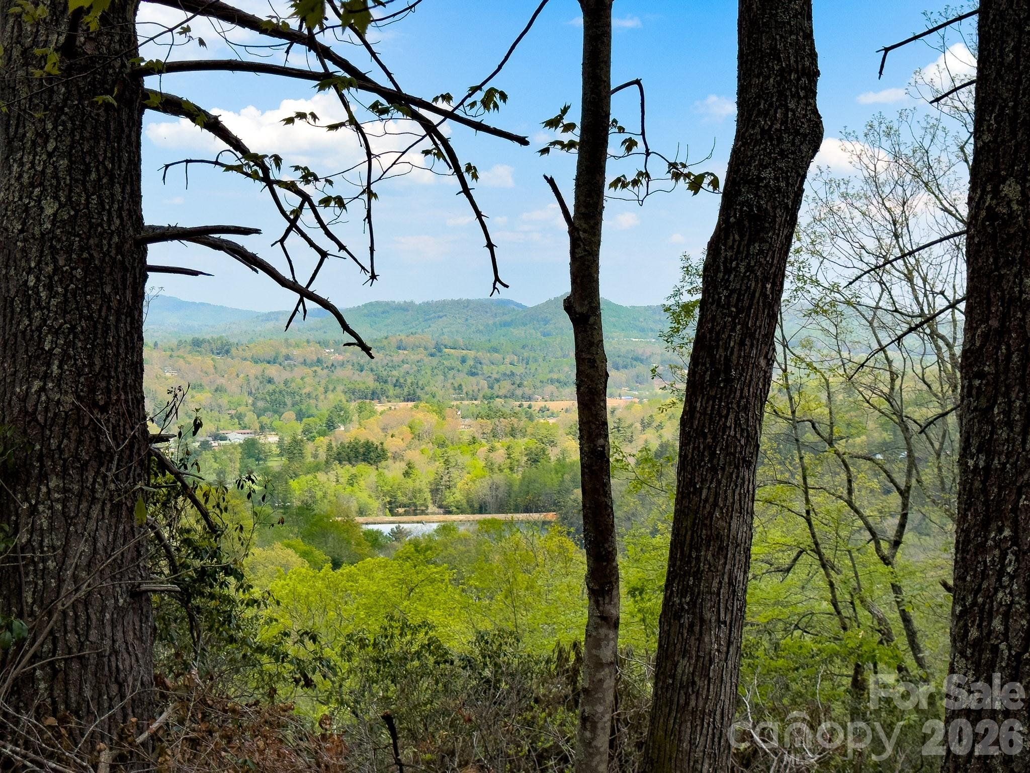 Acreage at TBD Pine Point Road, Spruce Pine, photo 2 of 27