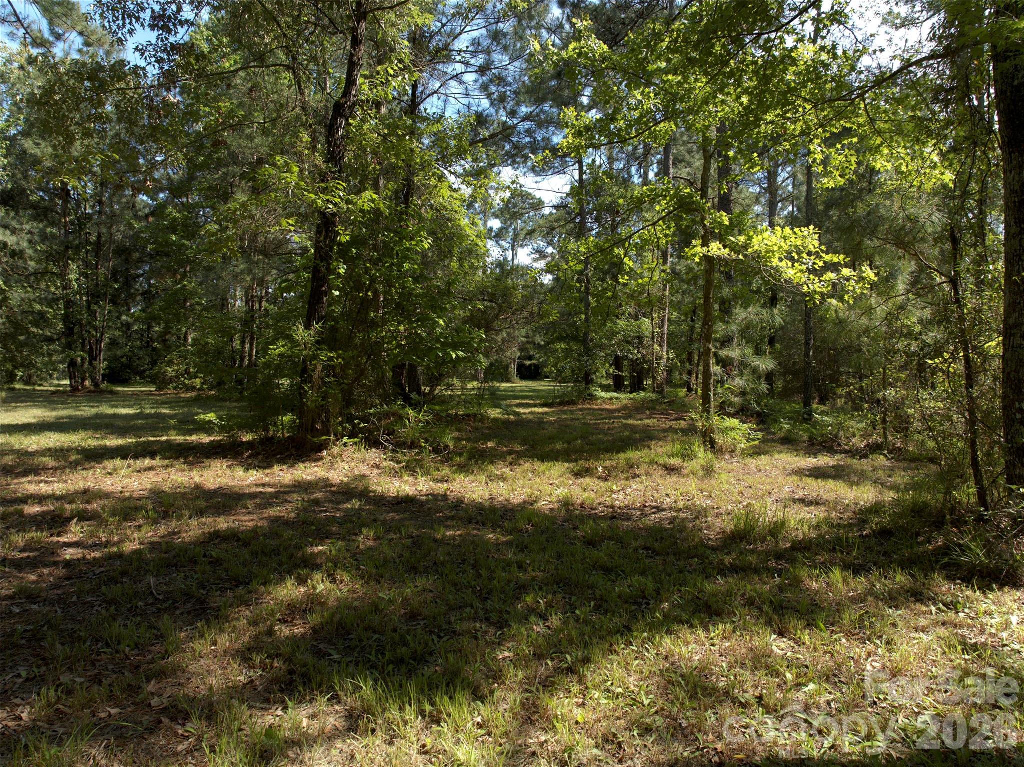 Lot at 0 Bailey Pointe Drive, Belhaven, photo 6 of 8