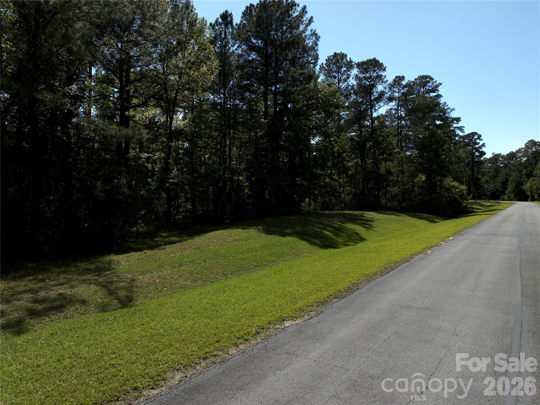 Lot at 0 Bailey Pointe Drive, Belhaven, photo 7 of 8