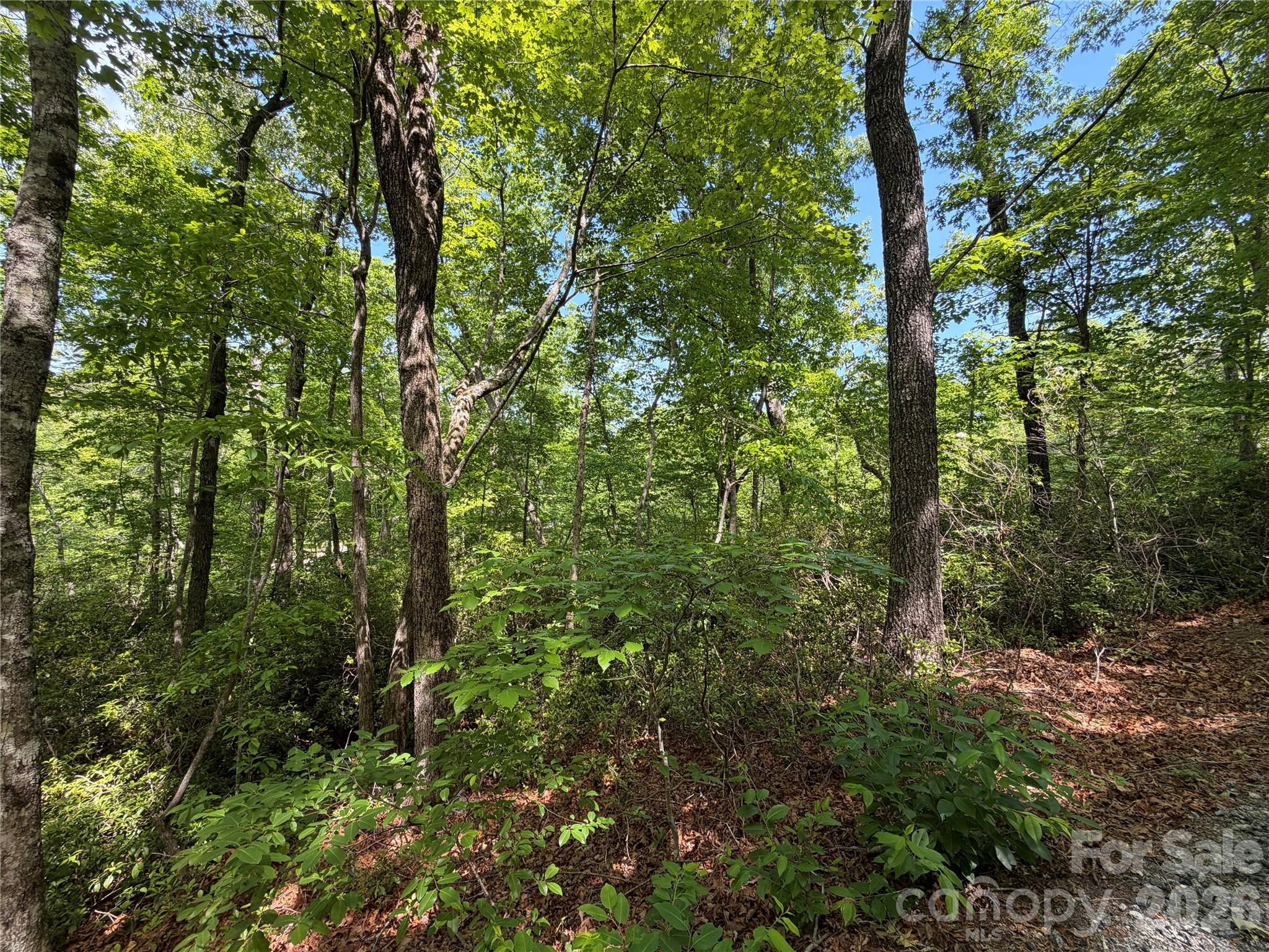 Lot at 0 Buffalo Shoals Road, Lake Lure, photo 3 of 11