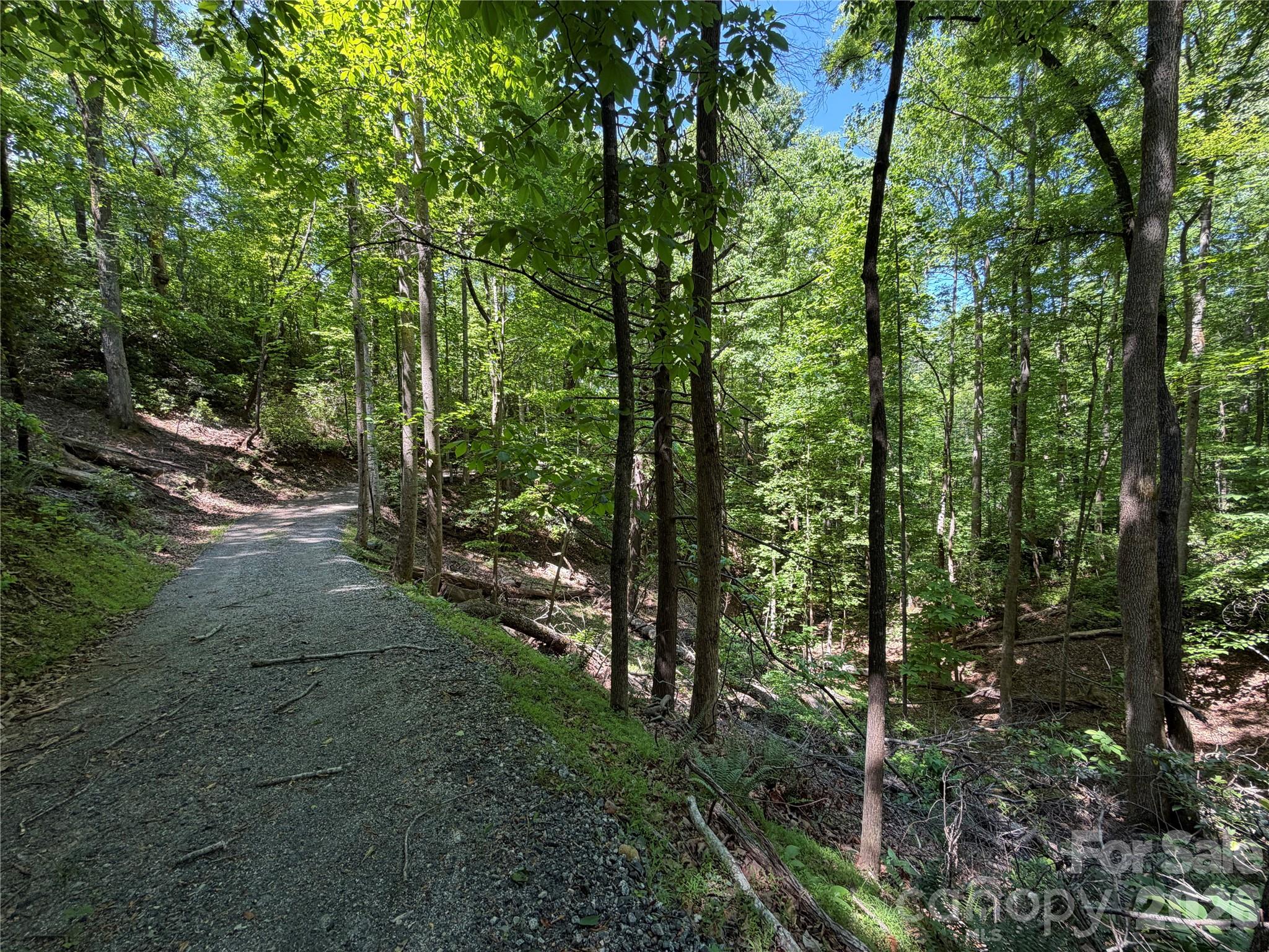 Lot at 0 Buffalo Shoals Road, Lake Lure, photo 9 of 11