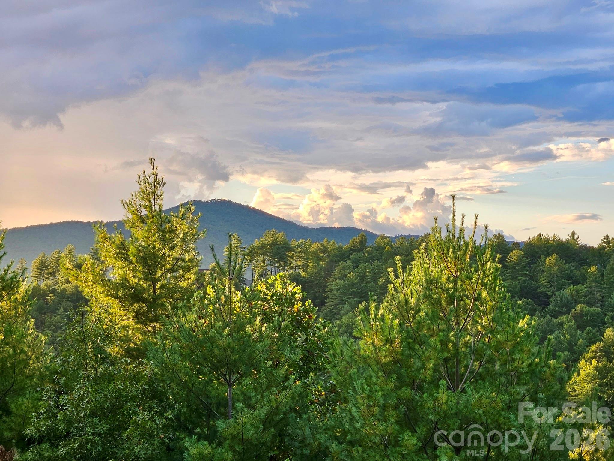 Single Family Residence at 5564 Table View Lane, Lenoir, photo 12 of 48