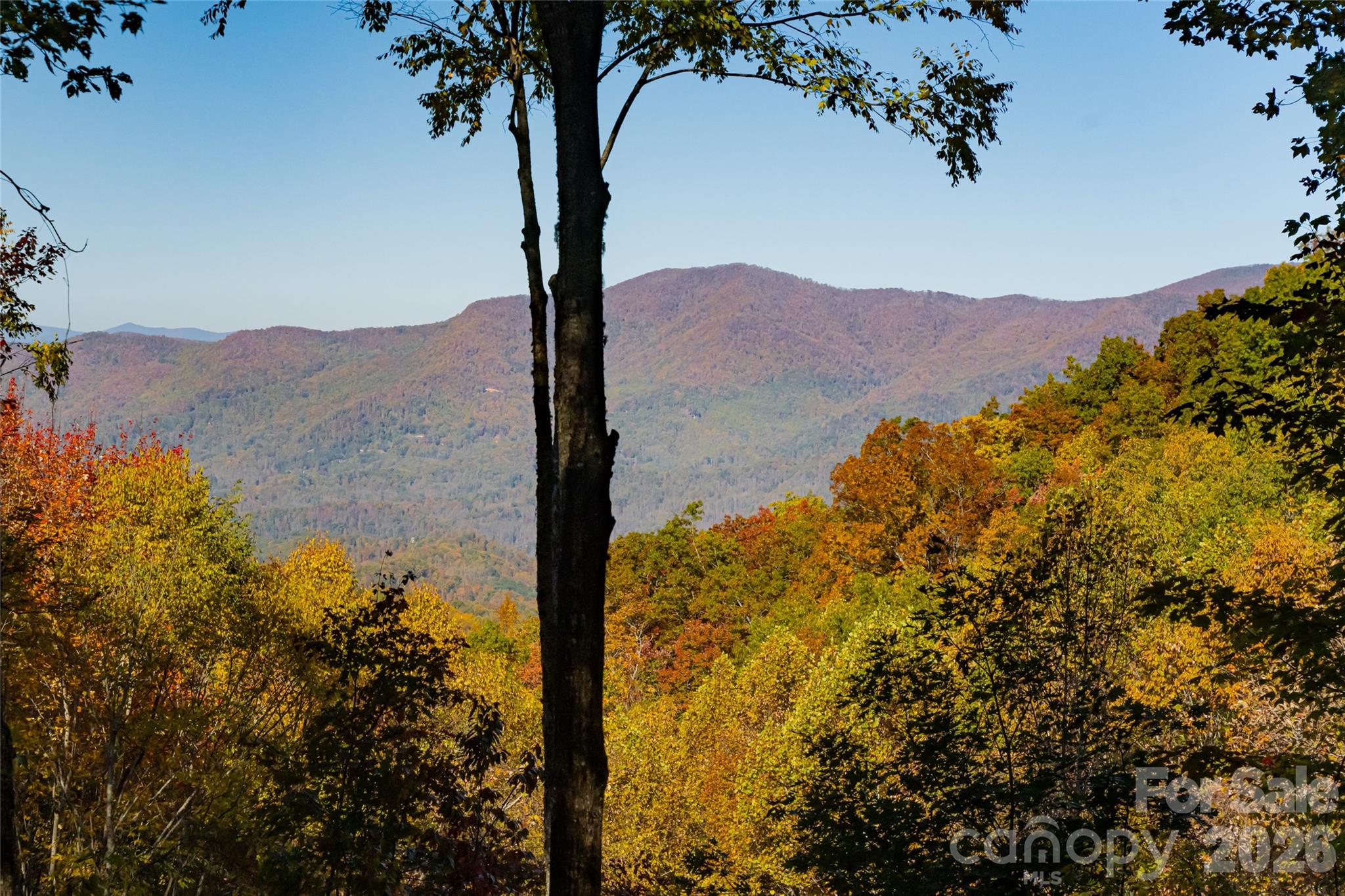 Single Family Residence at 256 Haulback Way, Sylva, photo 35 of 46