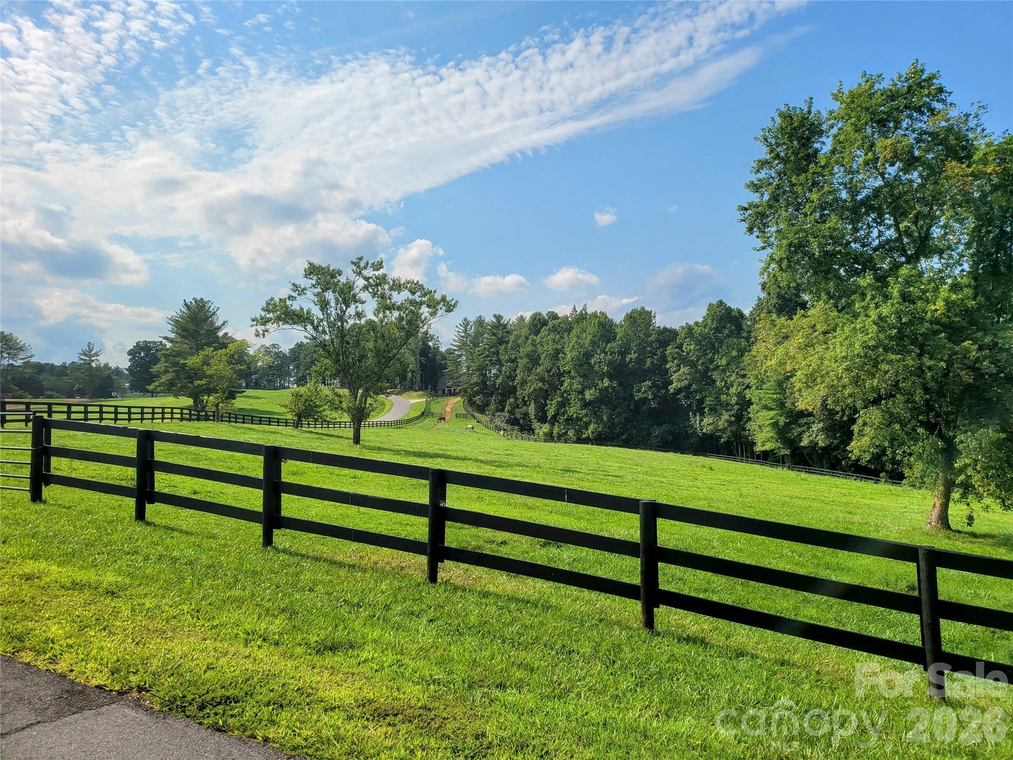 Beautiful drive to property - 2093 Thoroughbred Way, Lenoir
