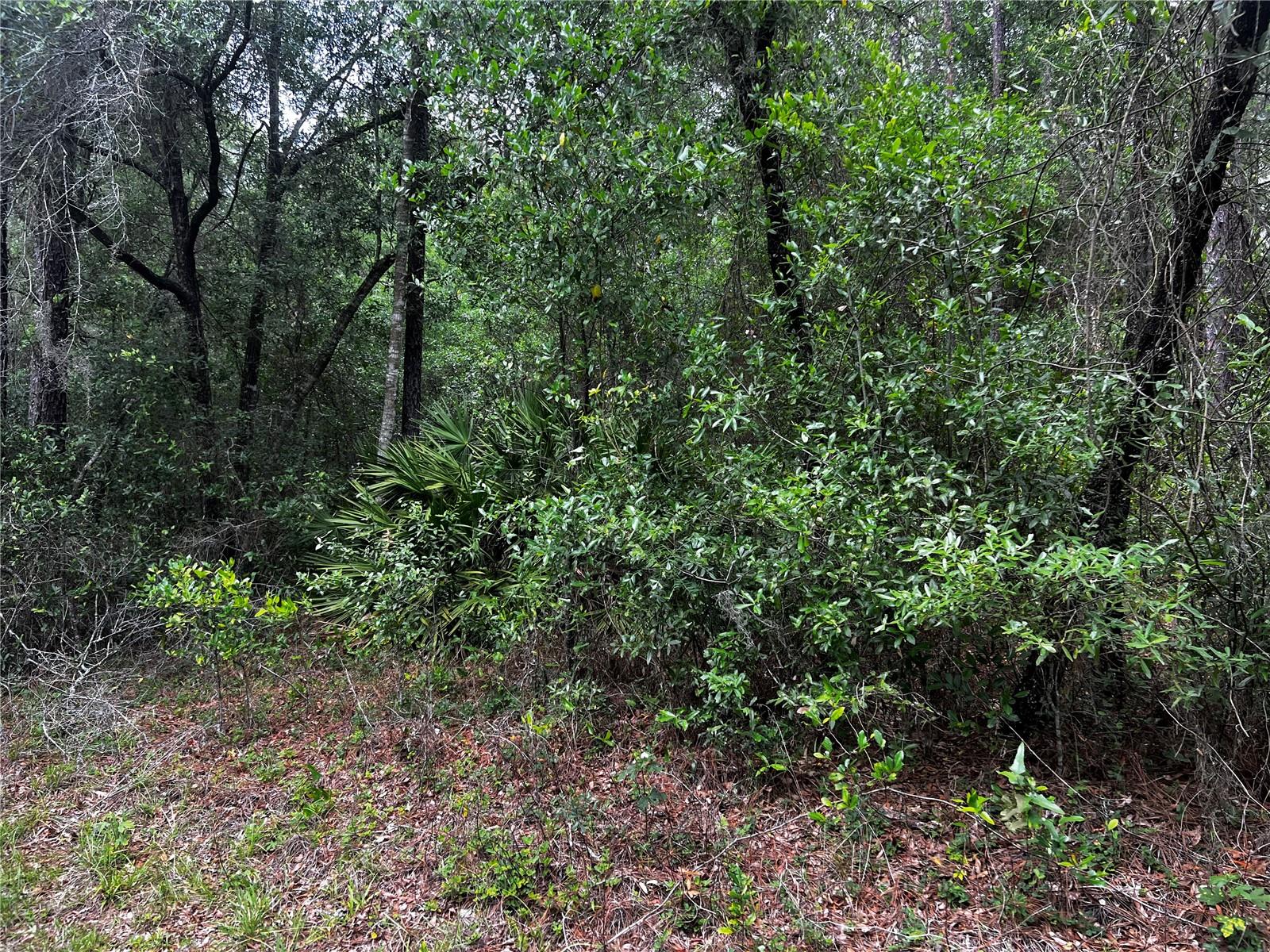 TBD SW 186TH CT.