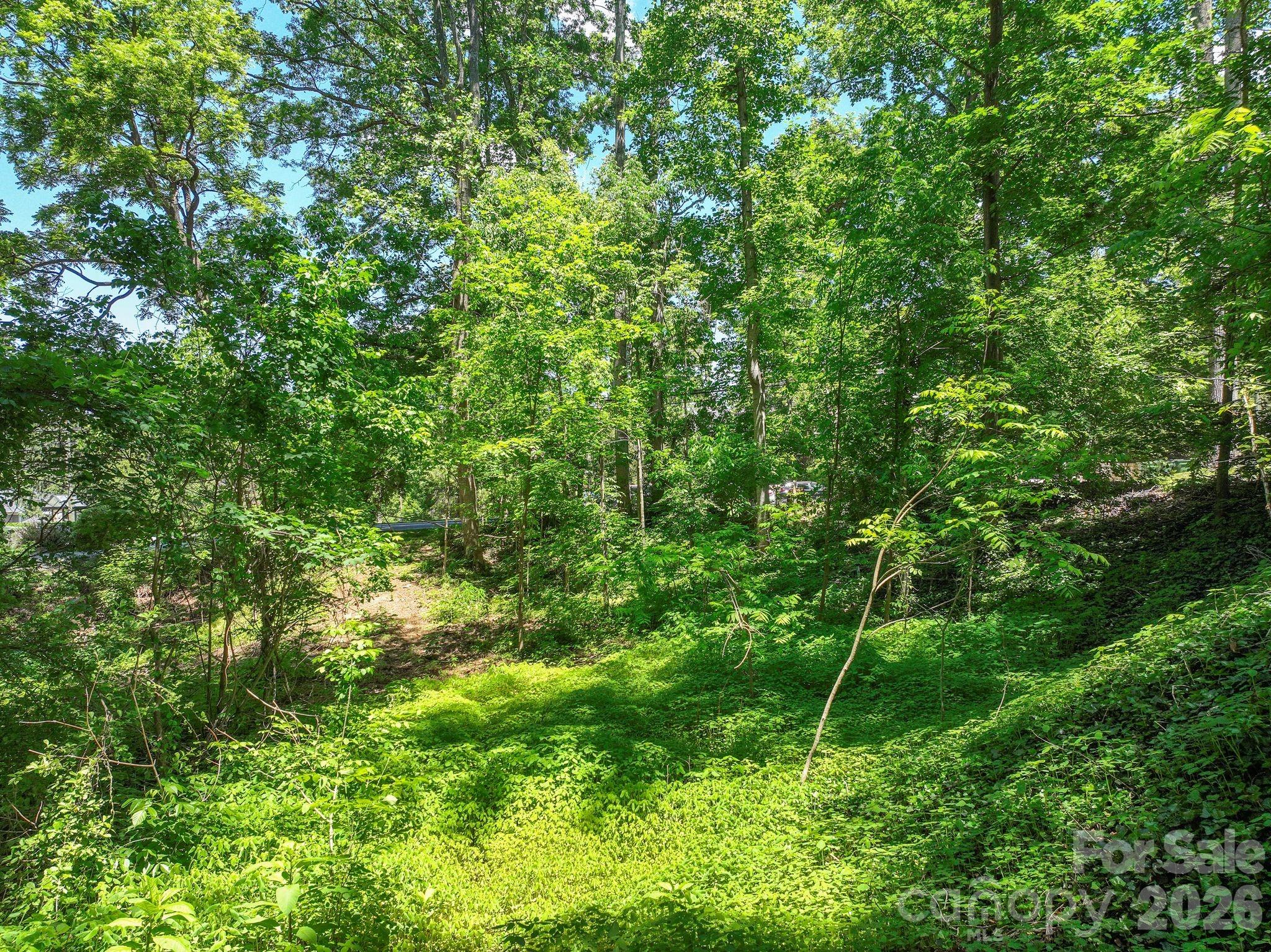 Lot at 99999 Montford Avenue, Asheville, photo 2 of 16