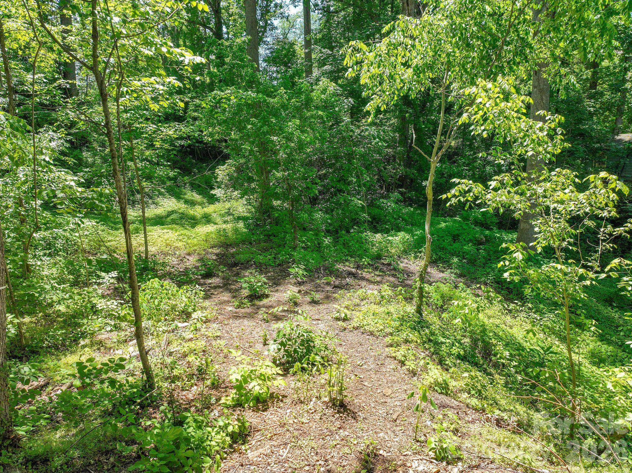 Lot at 99999 Montford Avenue, Asheville, photo 3 of 16