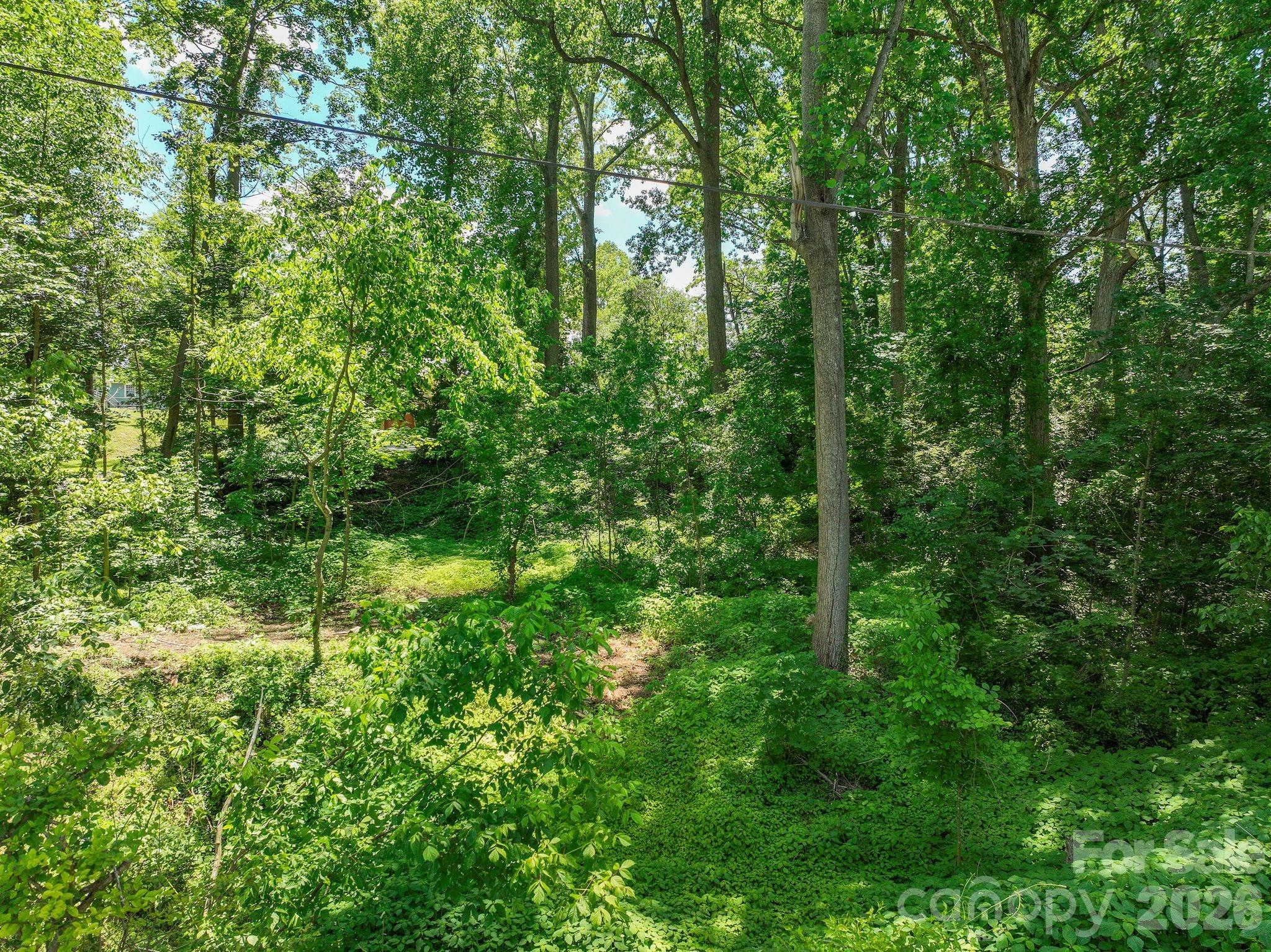 Lot at 99999 Montford Avenue, Asheville, photo 4 of 16