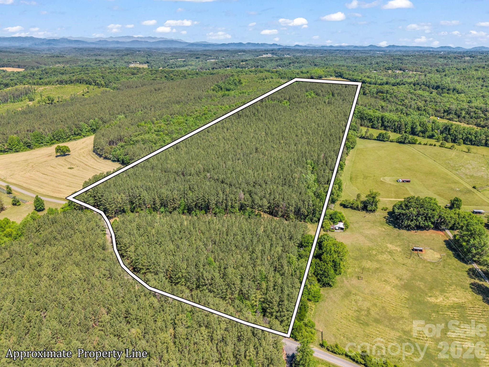Acreage at 0 Jim Dobbins Road, Rutherfordton, photo 4 of 39