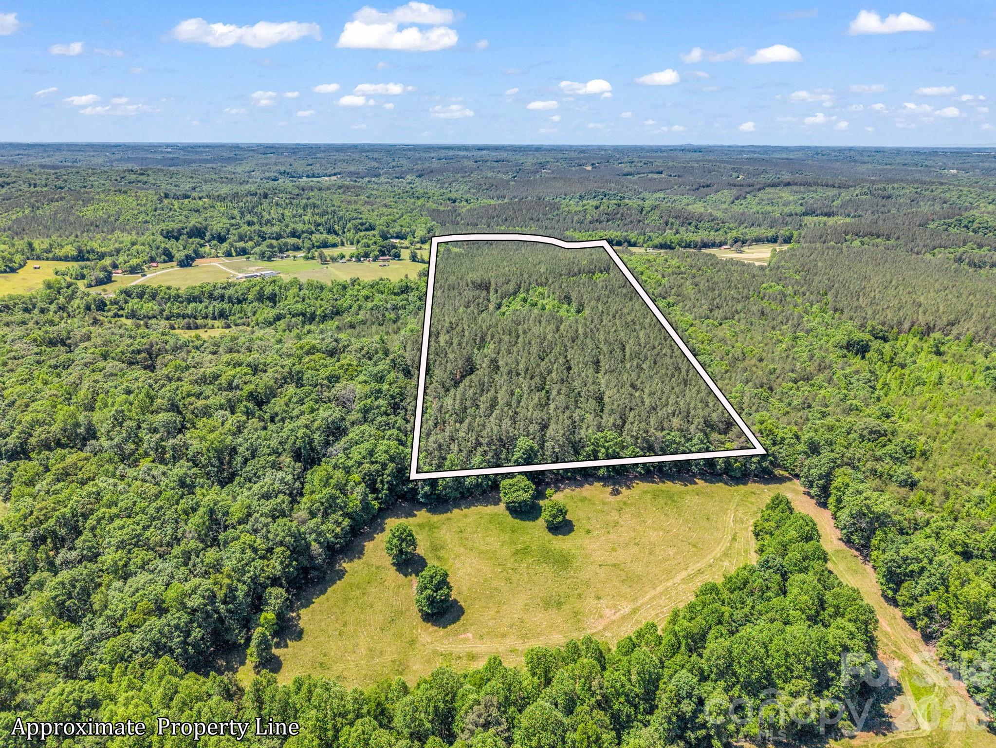 Acreage at 0 Jim Dobbins Road, Rutherfordton, photo 5 of 39