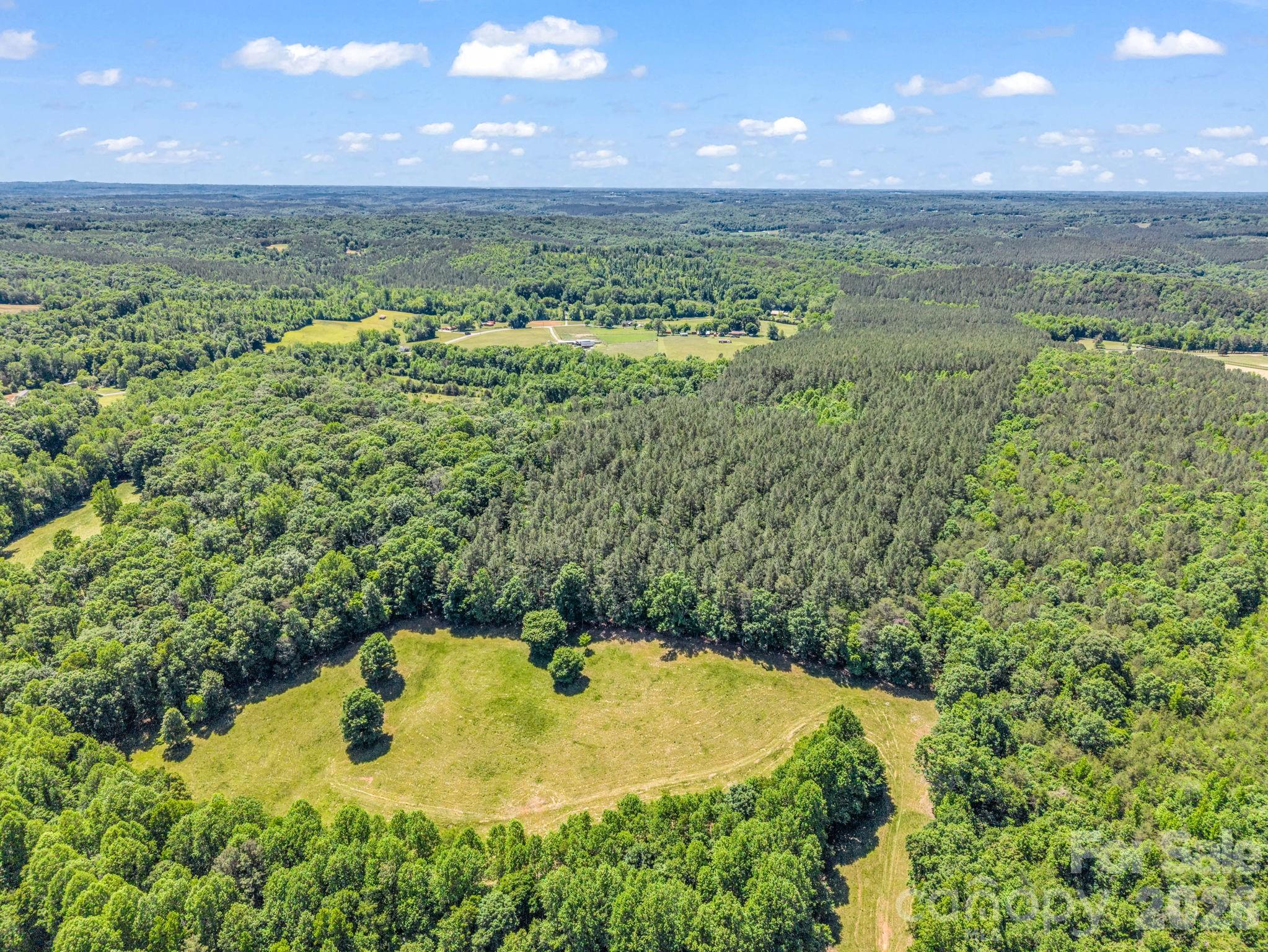 Acreage at 0 Jim Dobbins Road, Rutherfordton, photo 14 of 39