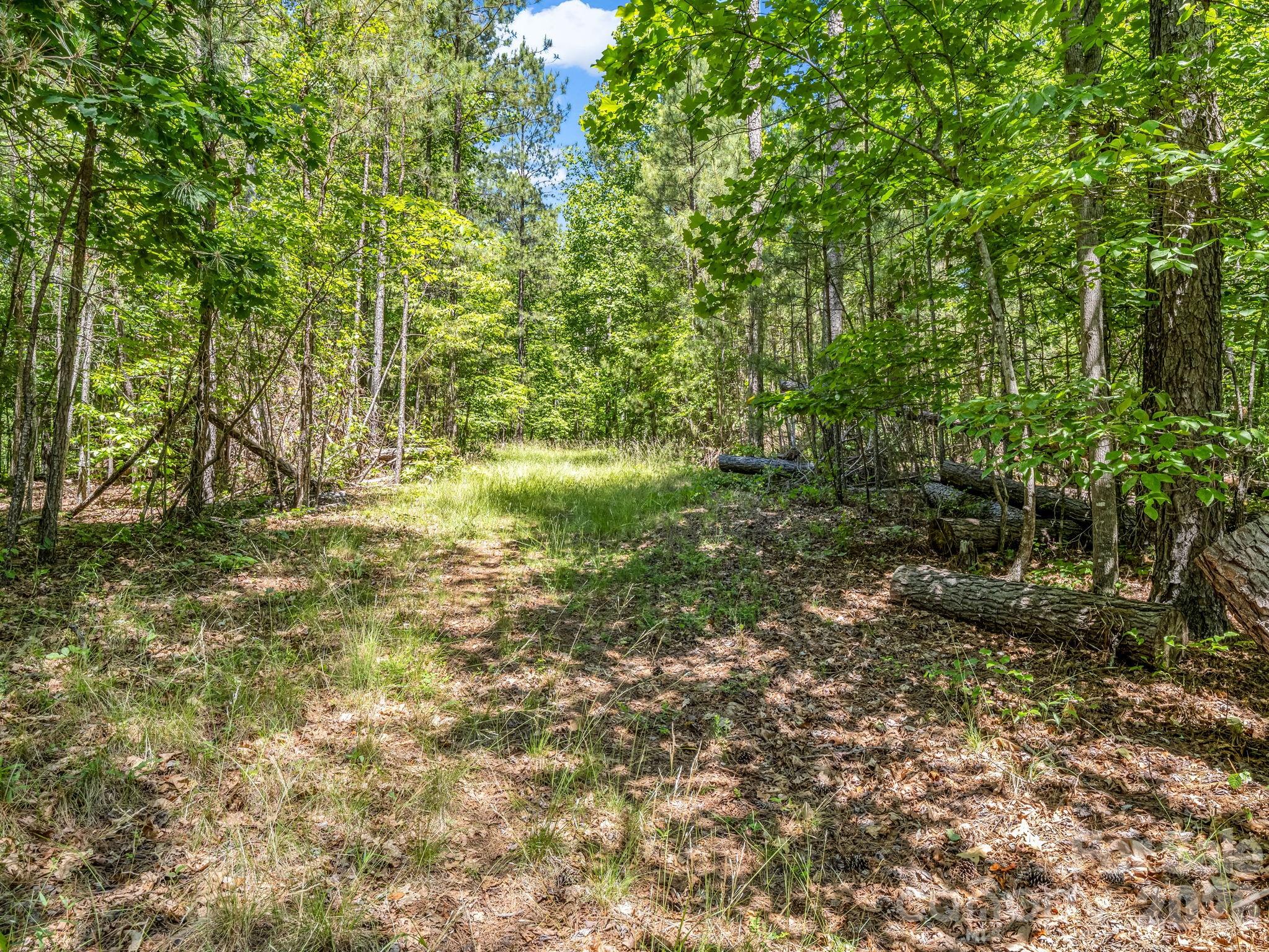 Acreage at 0 Jim Dobbins Road, Rutherfordton, photo 32 of 39