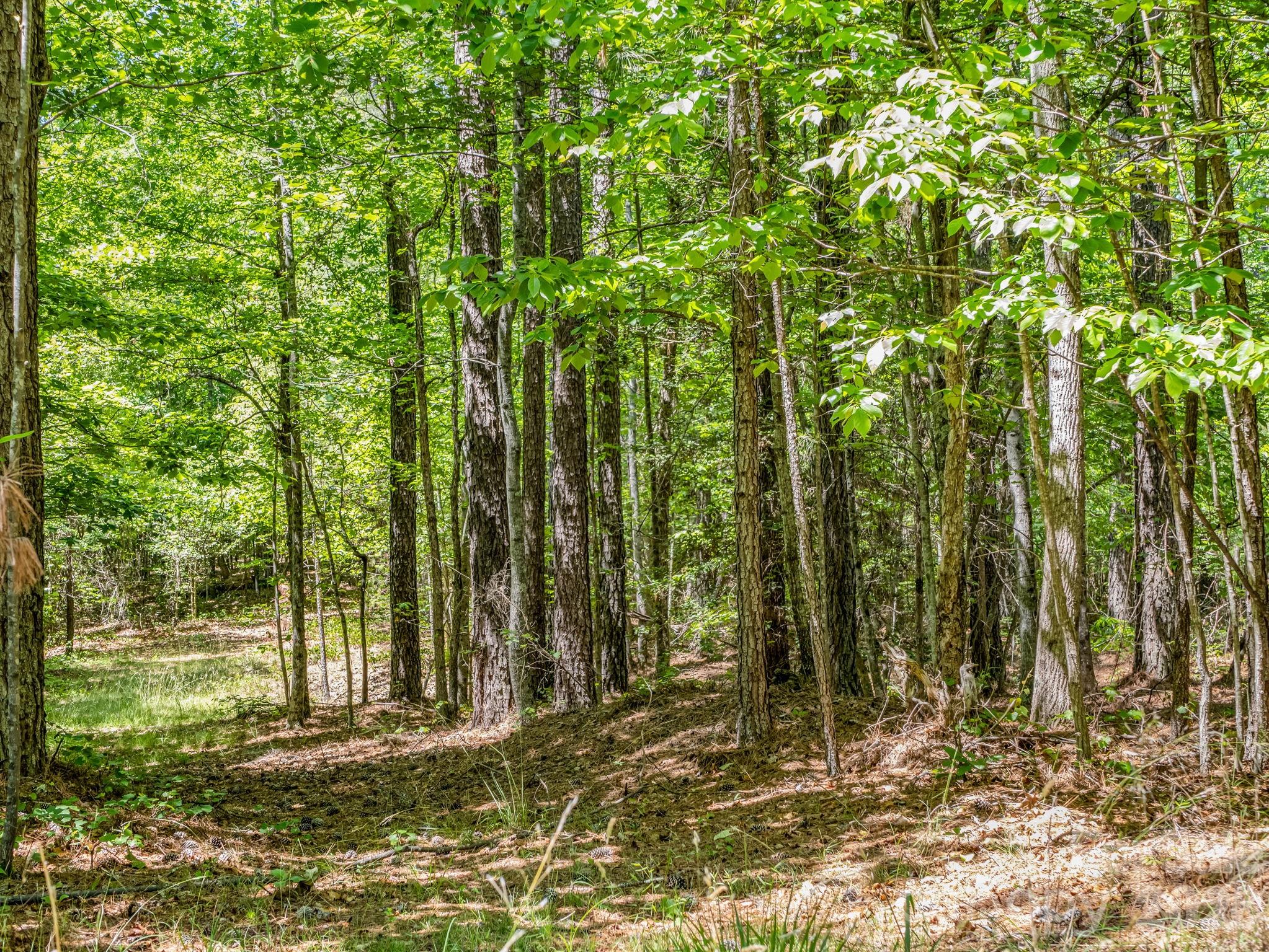Acreage at 0 Jim Dobbins Road, Rutherfordton, photo 35 of 39