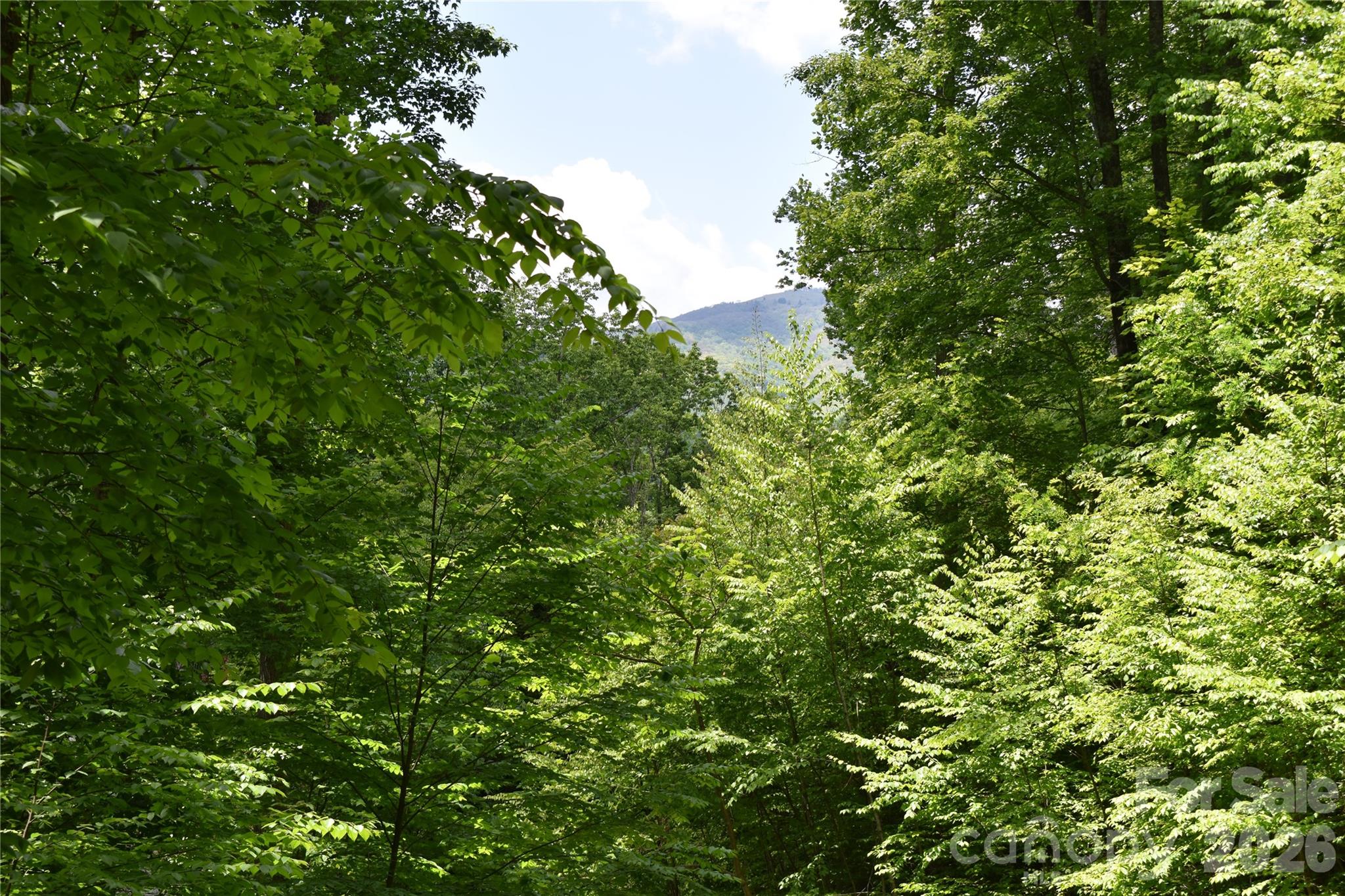 Lot at Lot 18 Covered Bridge Trail, Waynesville, photo 6 of 7