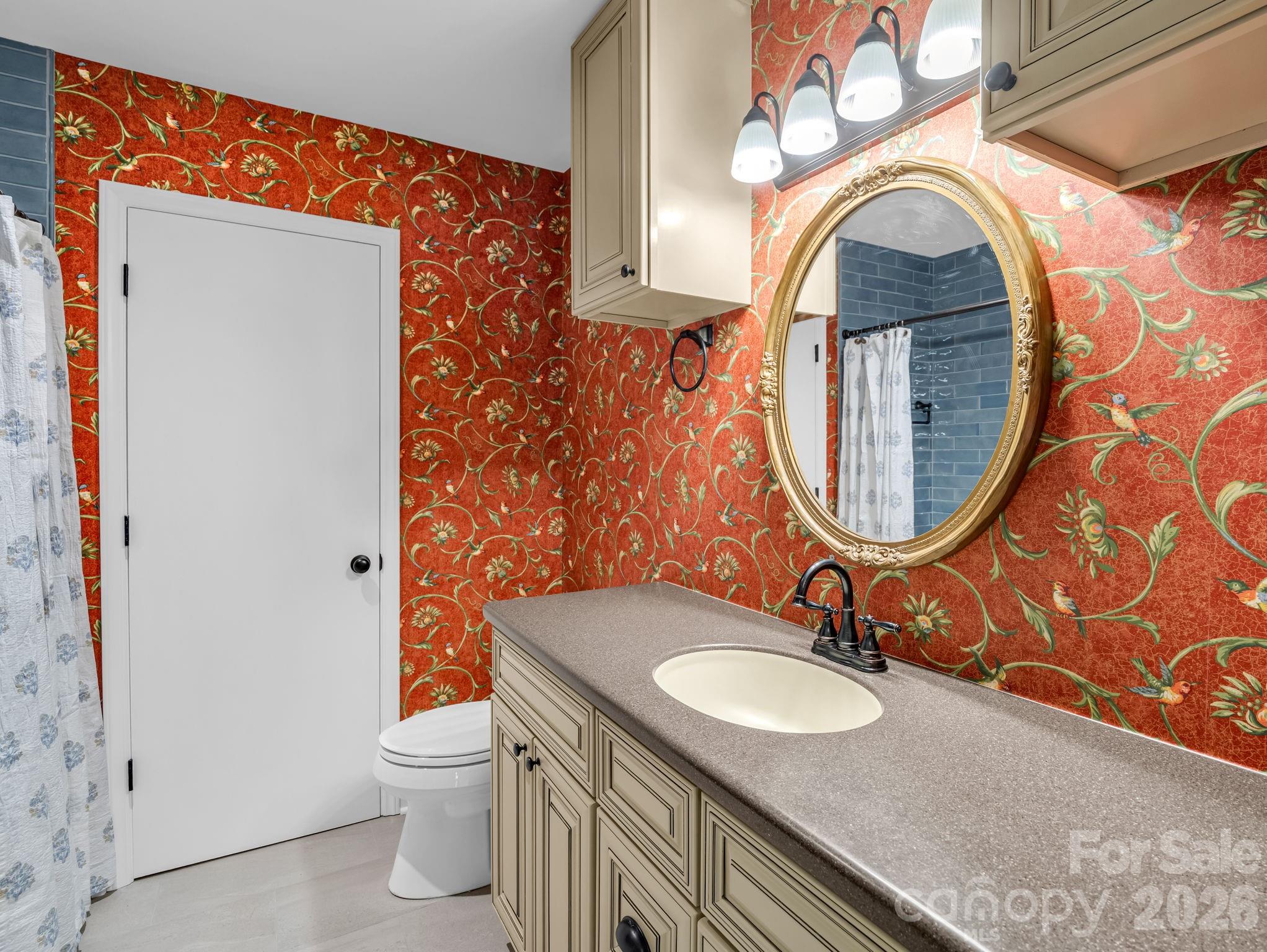 New lighting and antique mirror in the guest bath. - 44 Jervey Road, Tryon
