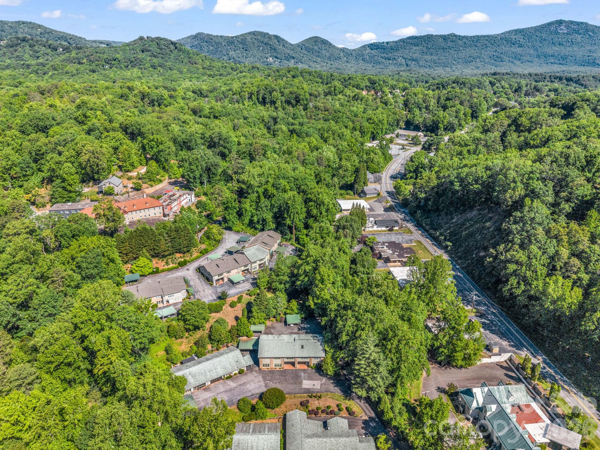 Looking towards downtown Tryon. - 44 Jervey Road, Tryon