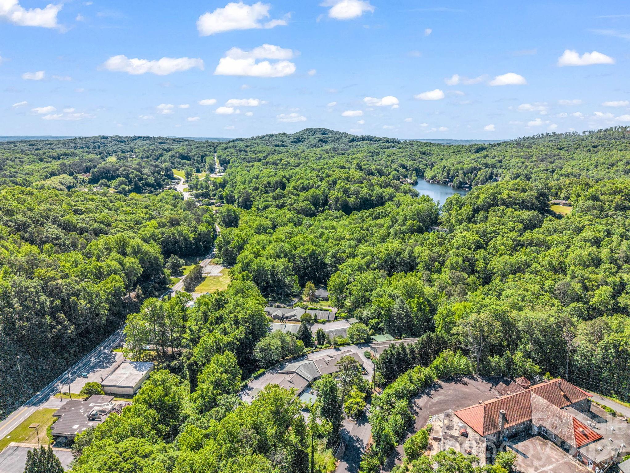 South Trade Street on the left and Lake Lanier in the upper right. - 44 Jervey Road, Tryon