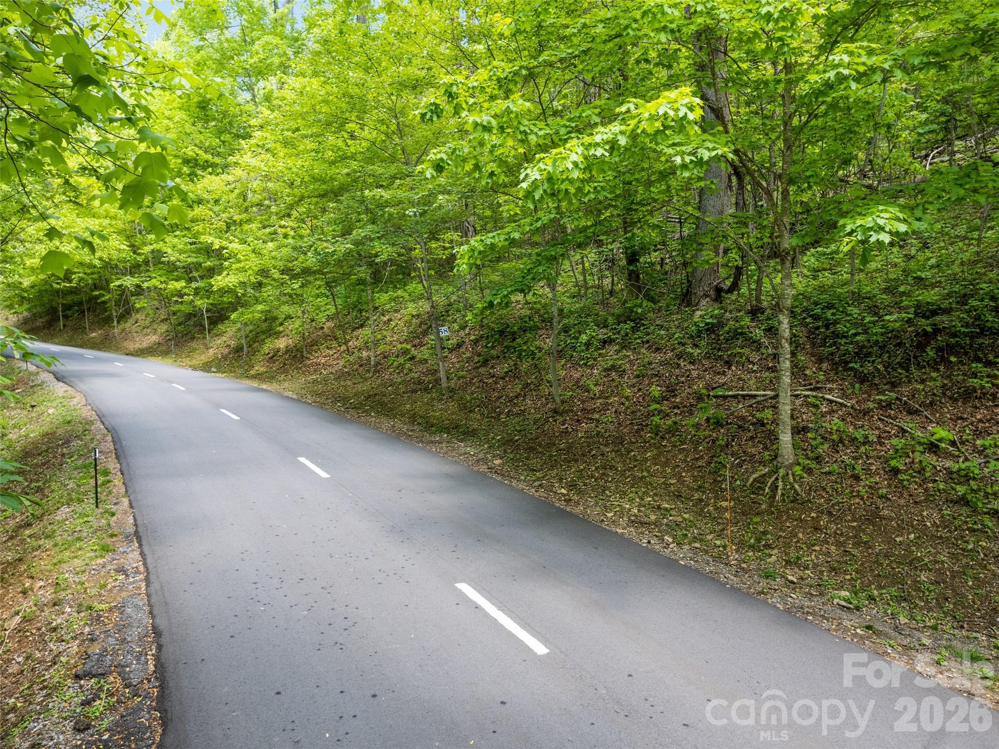 Lot at 0000 Presidential Drive, Waynesville, photo 2 of 8