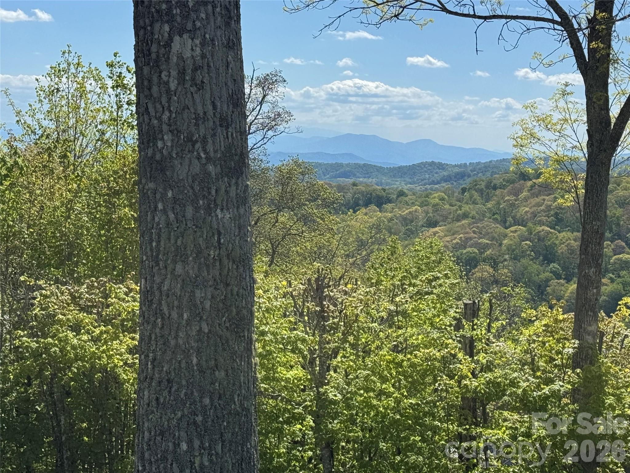 Southern Exposure Villa w/Golf Course views - 302 Eagles Nest Court S, Mars Hill