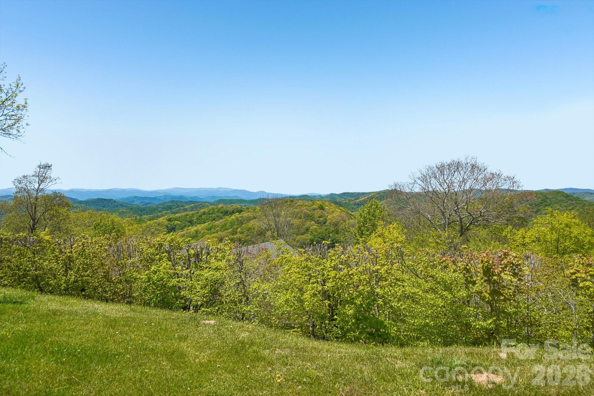 Views from Front Entrance Parking Lot - 302 Eagles Nest Court S, Mars Hill