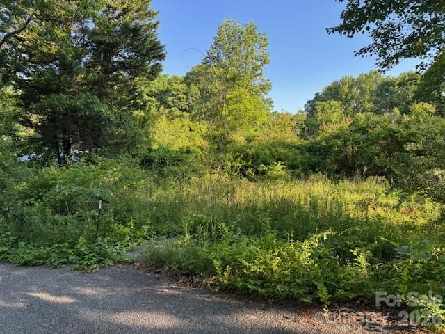 Lot at 202 Dundee Street, Hendersonville, photo 2 of 3