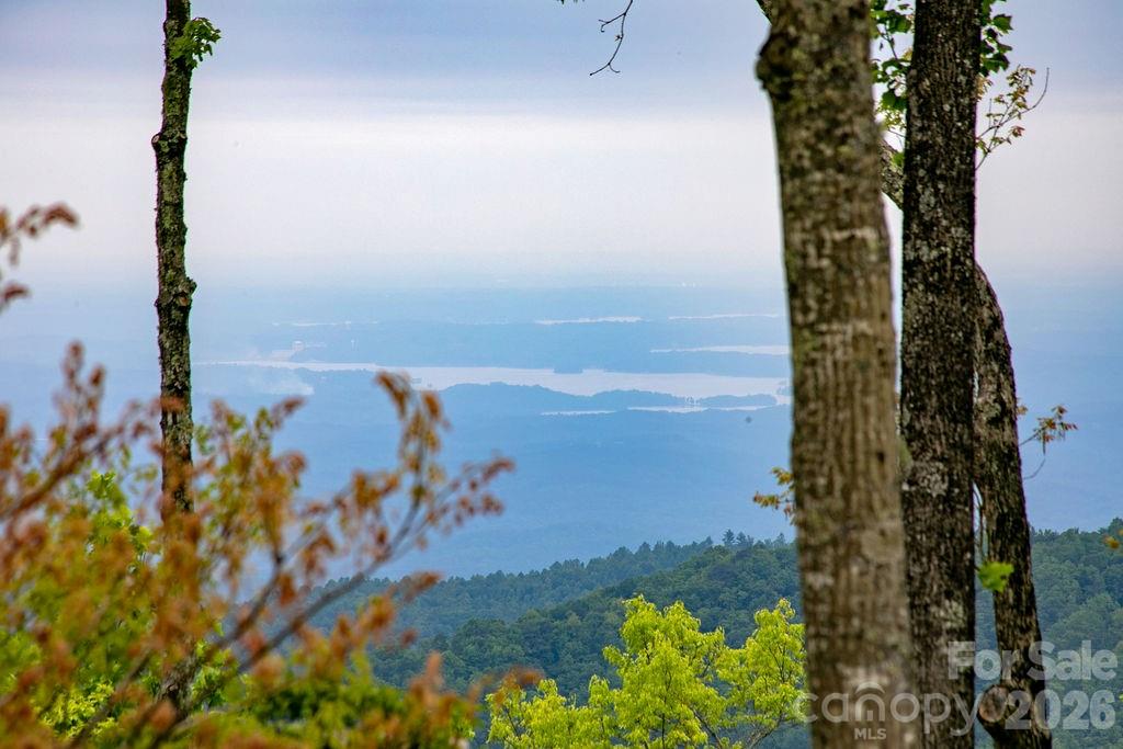 Year-round Lake View - 111 Wild Hog Creek Road, Rosman