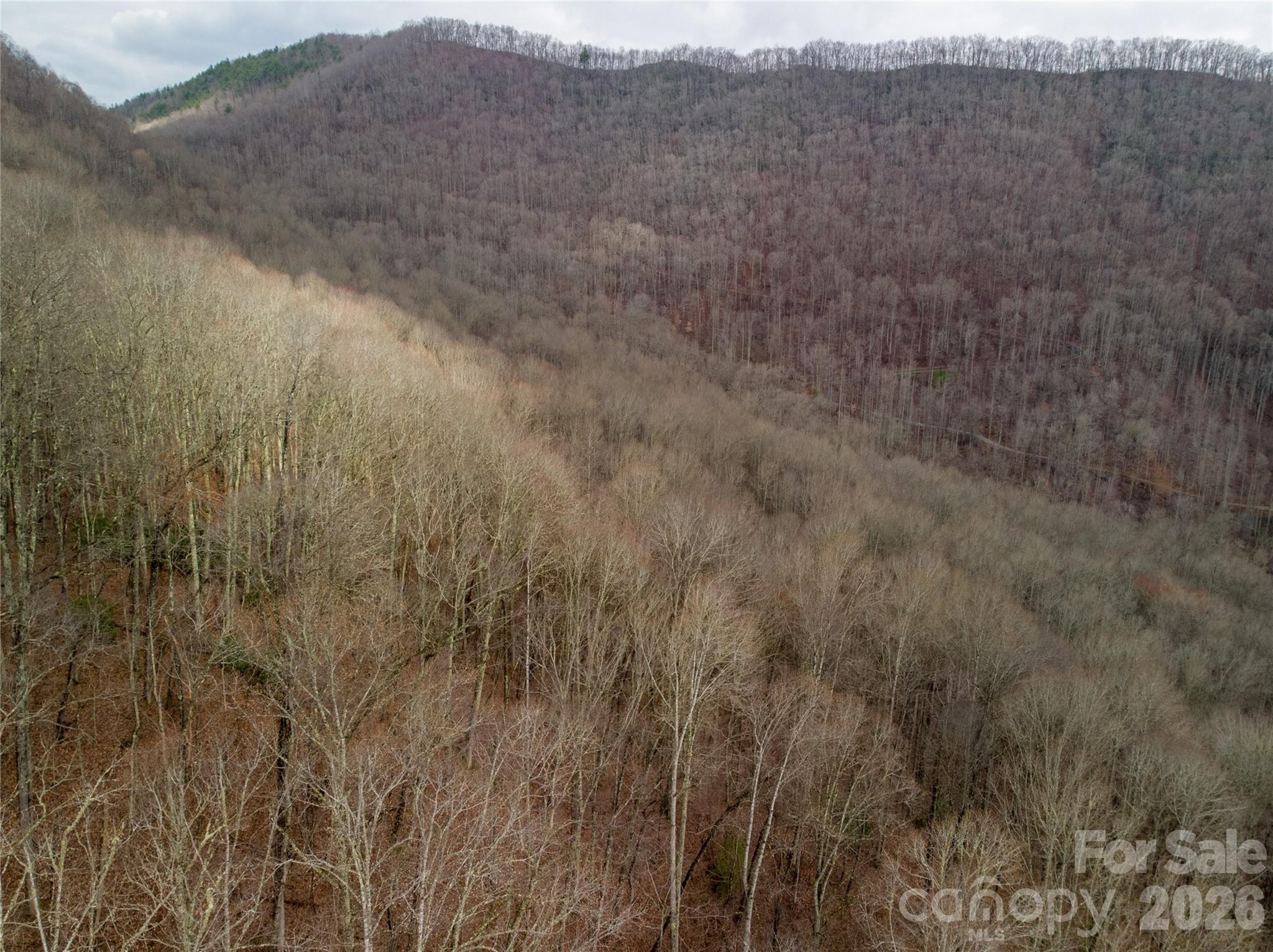 Acreage at 00 Upper Tuskeegee Road, Robbinsville, photo 4 of 8