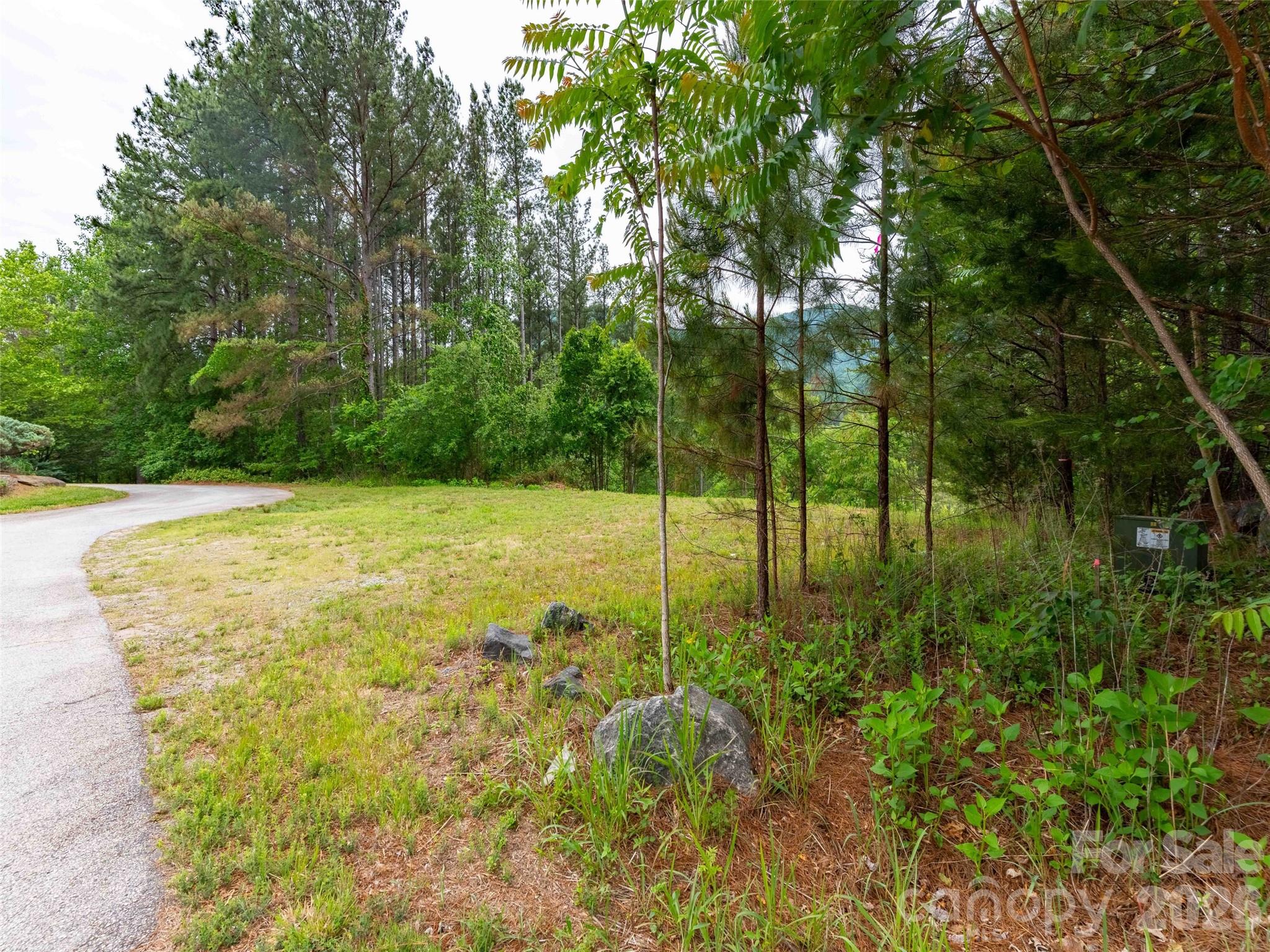 Lot at Lot 73 Chestertown Drive, Mill Spring, photo 2 of 24