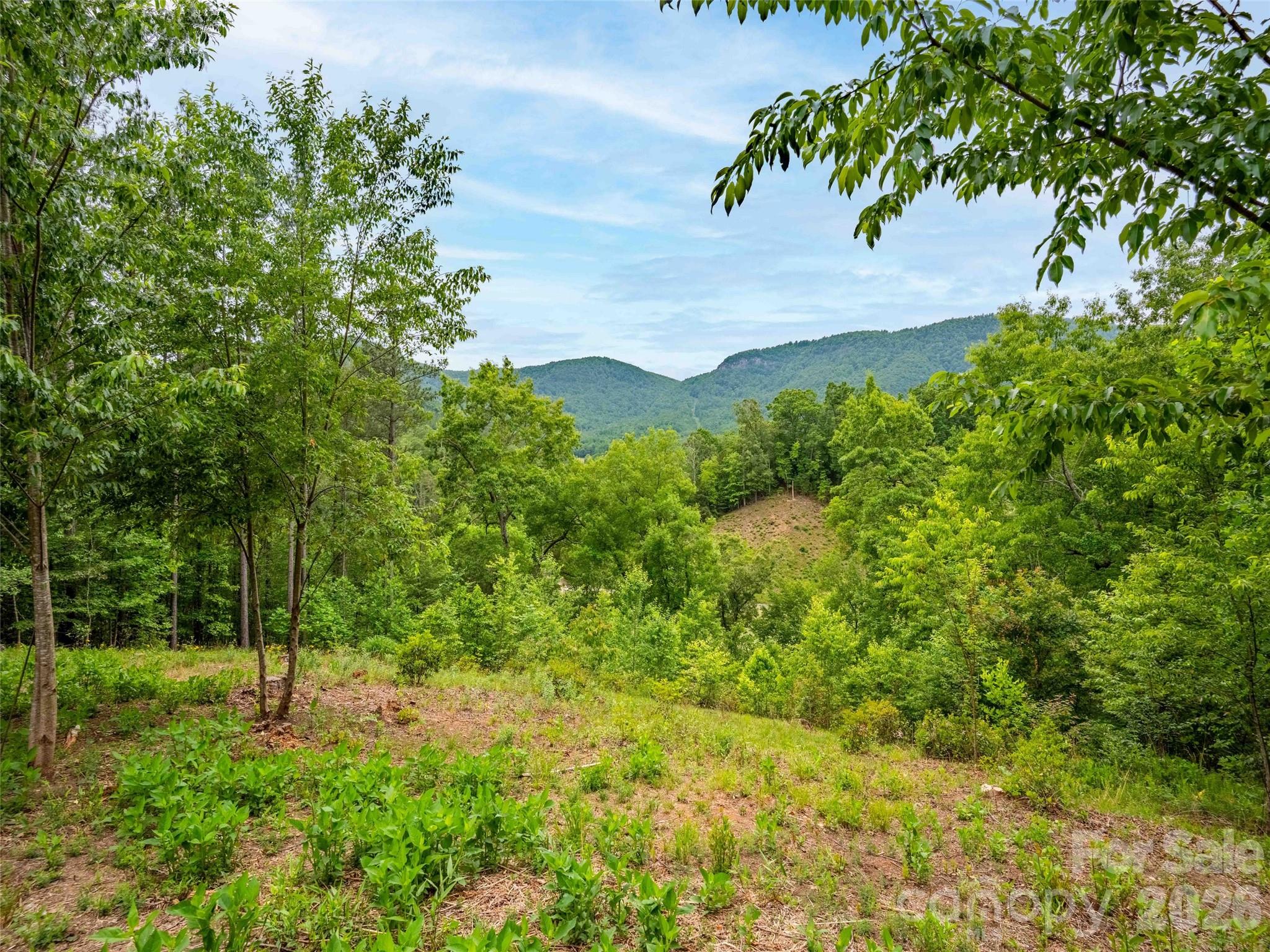 Lot at Lot 73 Chestertown Drive, Mill Spring, photo 4 of 24