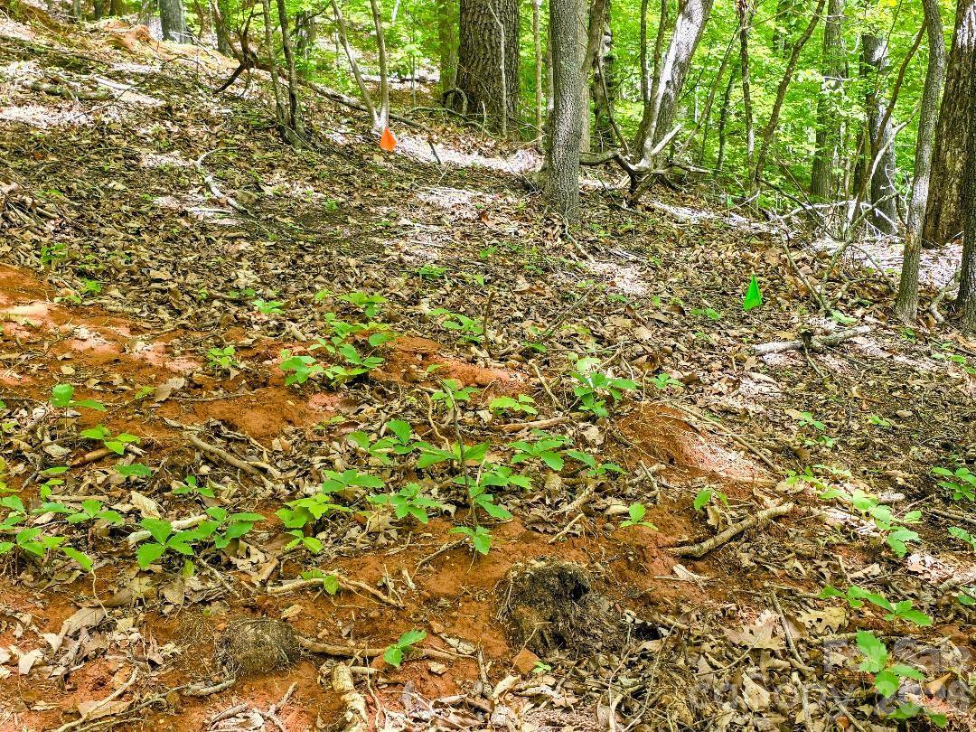 Site of permitted septic system - 00 Hickory Springs Road, Burnsville