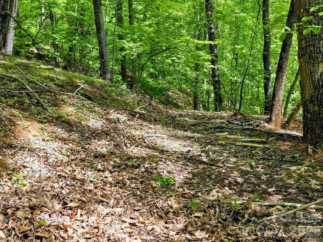 Old soil road on Lot 12 - 00 Hickory Springs Road, Burnsville