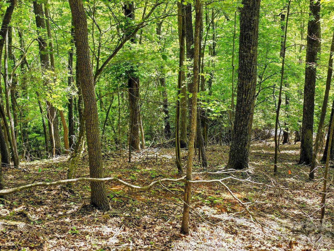 Lower section of Lot 12 - 00 Hickory Springs Road, Burnsville