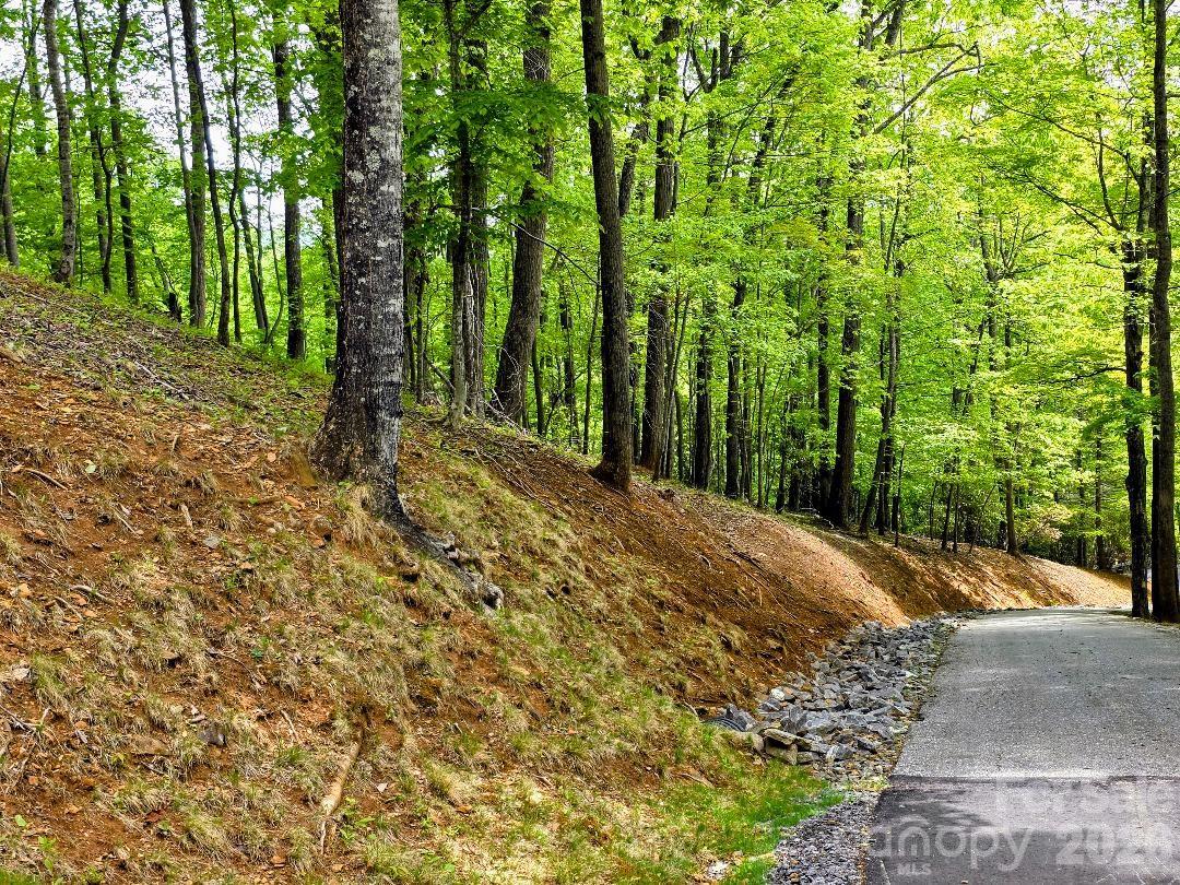 Lot 12 on the left side of Hickory Springs Road - 00 Hickory Springs Road, Burnsville