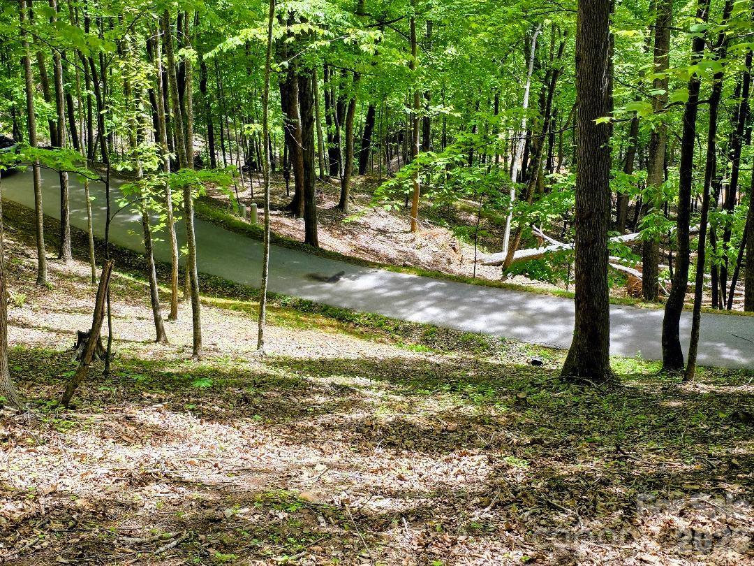 Looking down on Lot 12 - 00 Hickory Springs Road, Burnsville