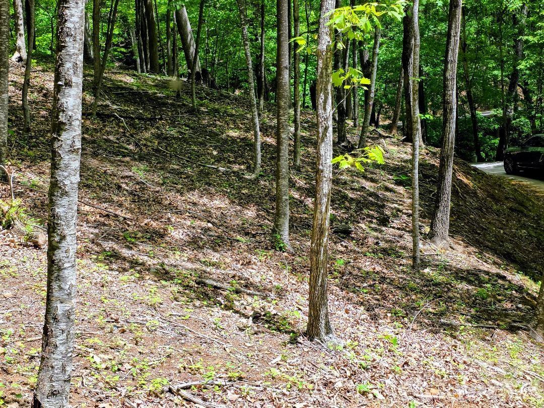 Lower edge of Lot 12 - 00 Hickory Springs Road, Burnsville