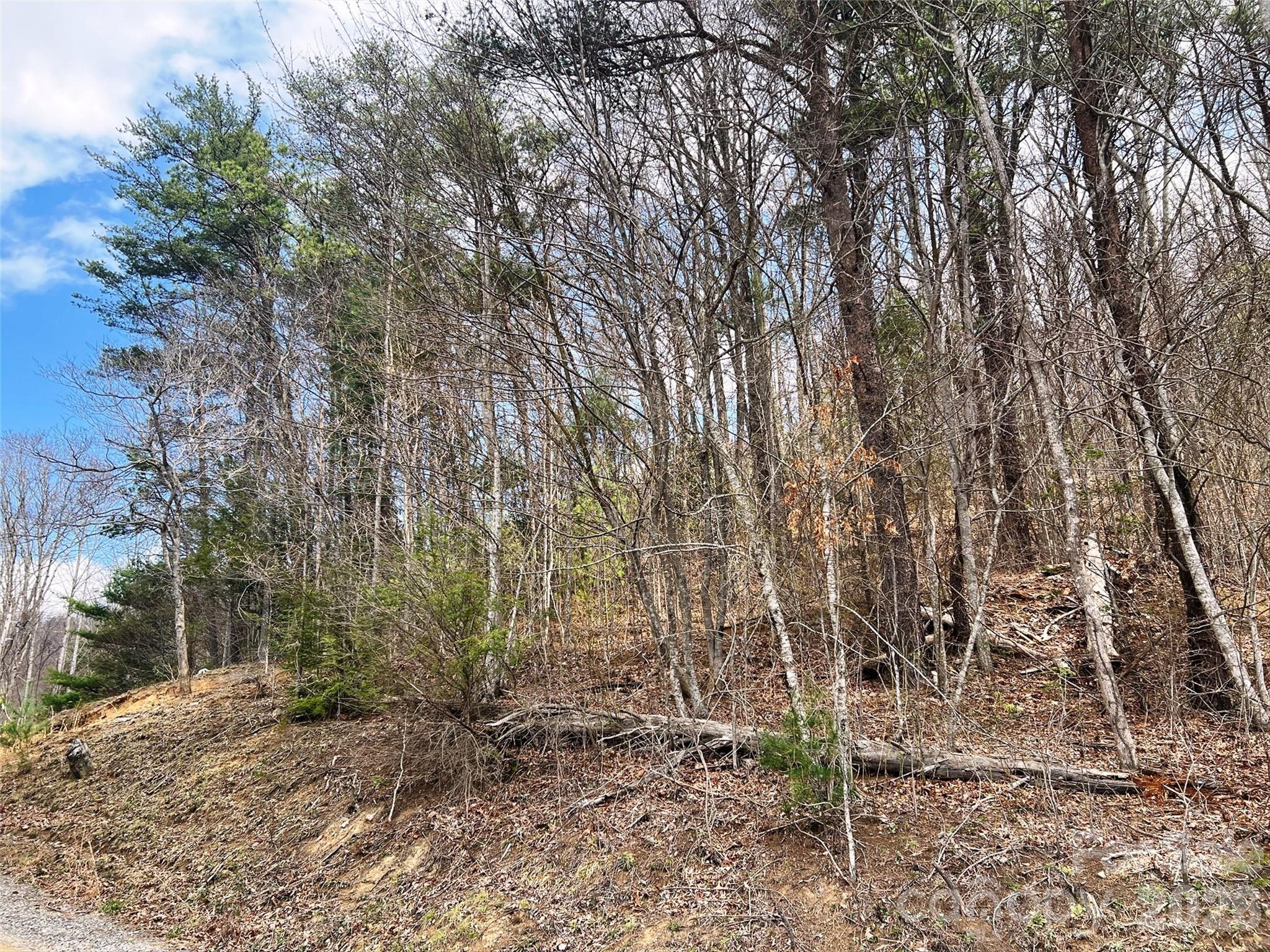 Lot at TBD Moonbeam Lane, Clyde, photo 17 of 20
