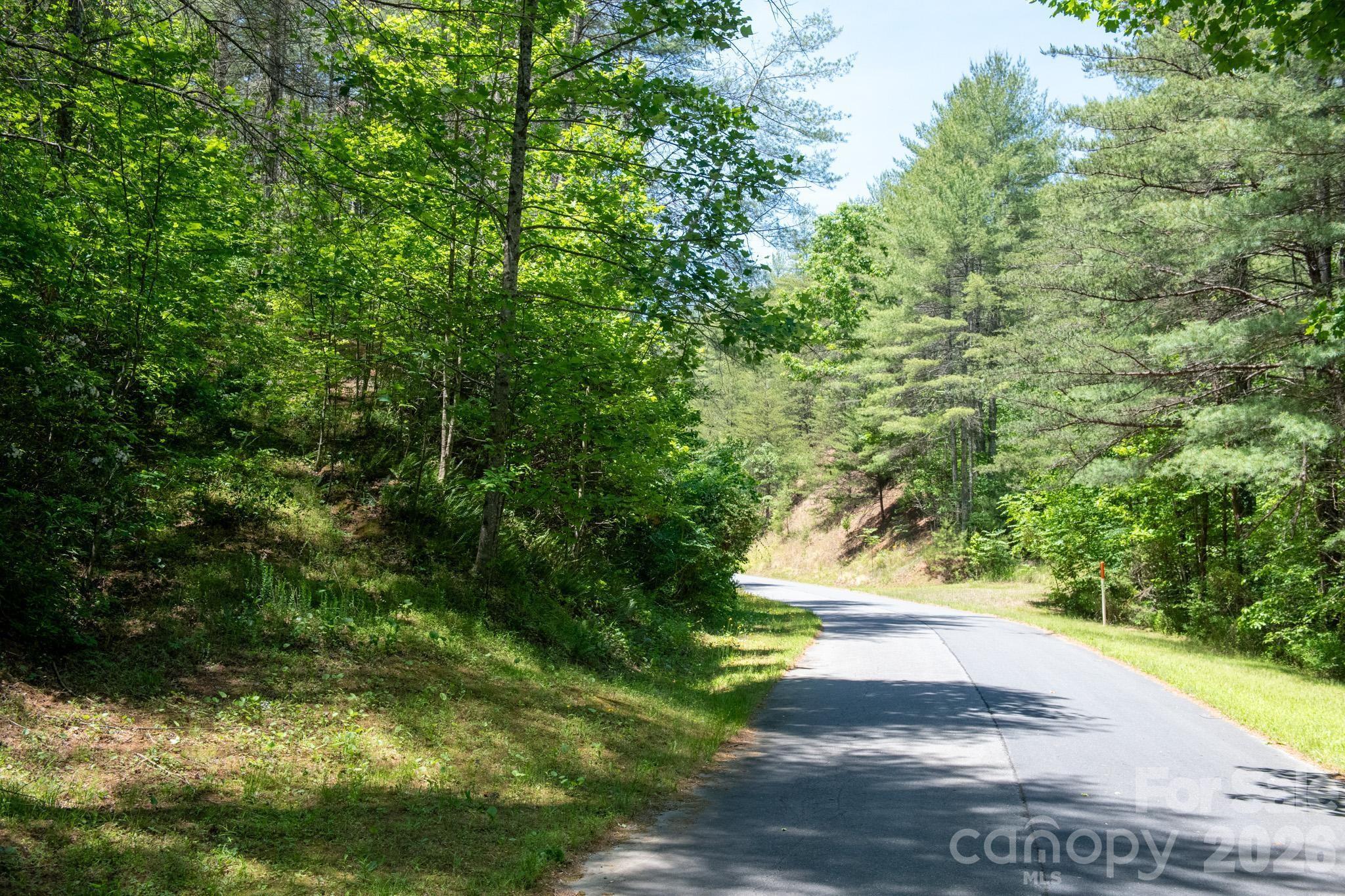 Lot at 000 Narrow Gauge Drive, Lenoir, photo 2 of 22